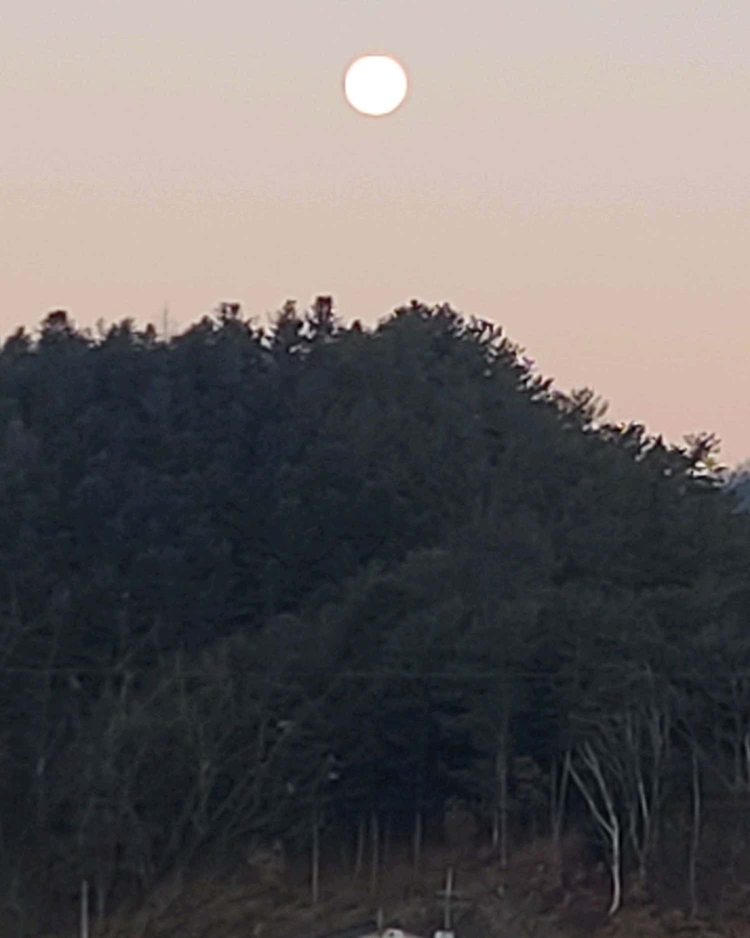 인제고려병원