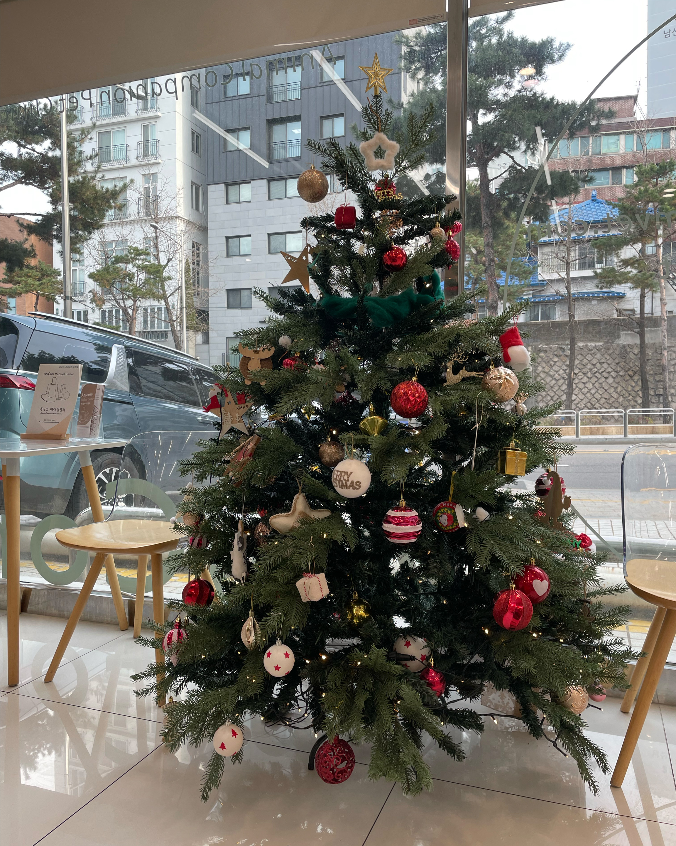 리뷰 사진 1