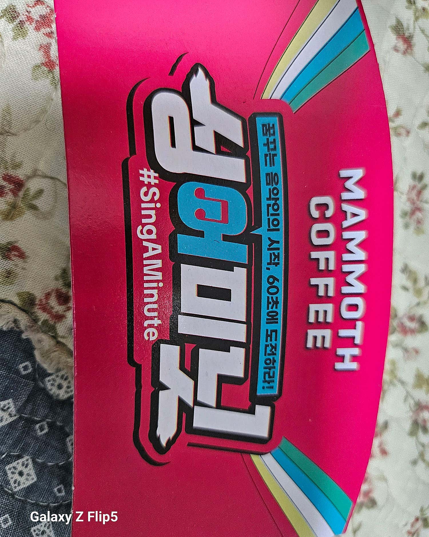 2번째 스튜디오 사진