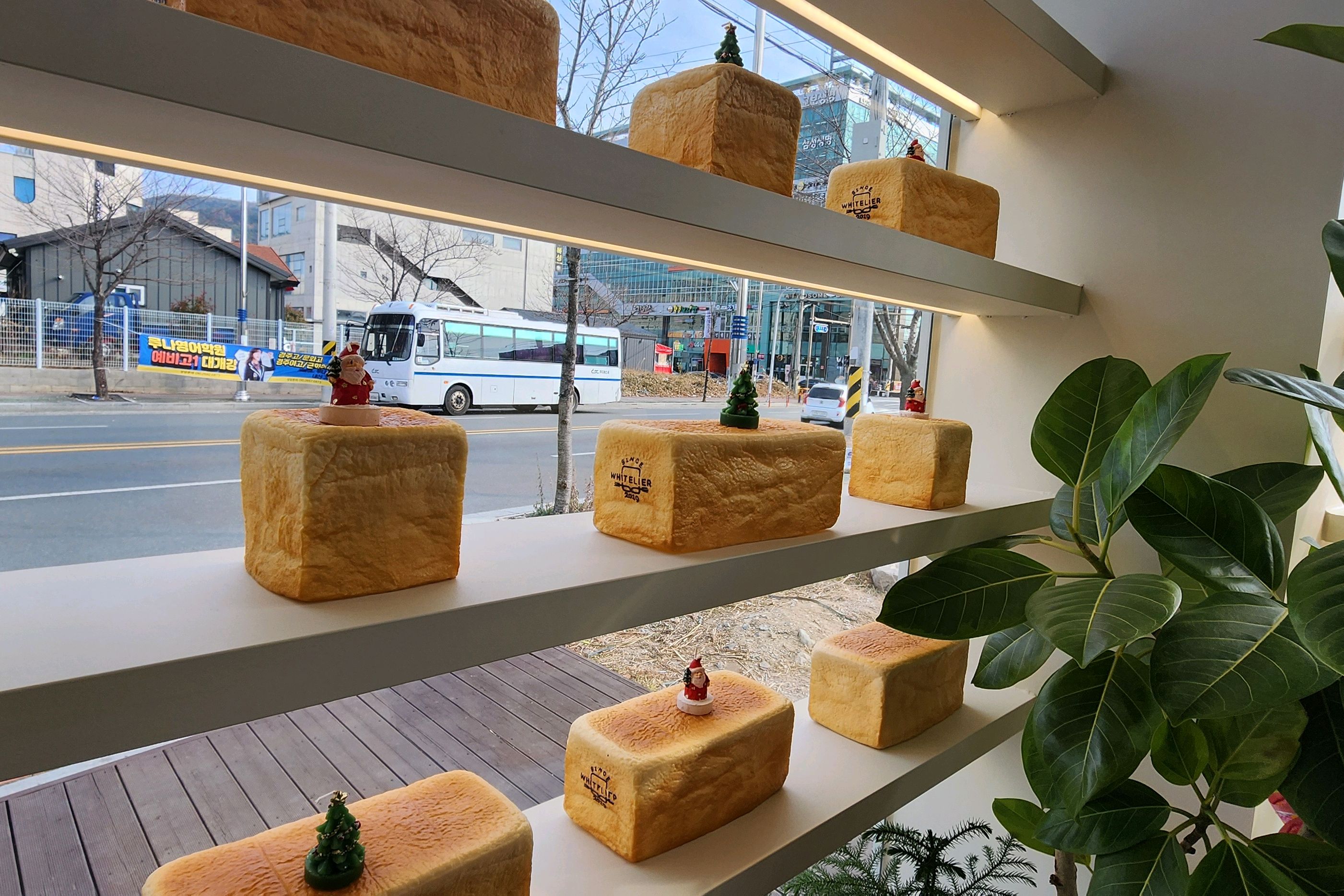 부산가면 사오던 화이트리에가 생겨 사왔는데  역시나 넘 부드럽고 맛있네요 - 경주 맛집 화이트리에 경주점