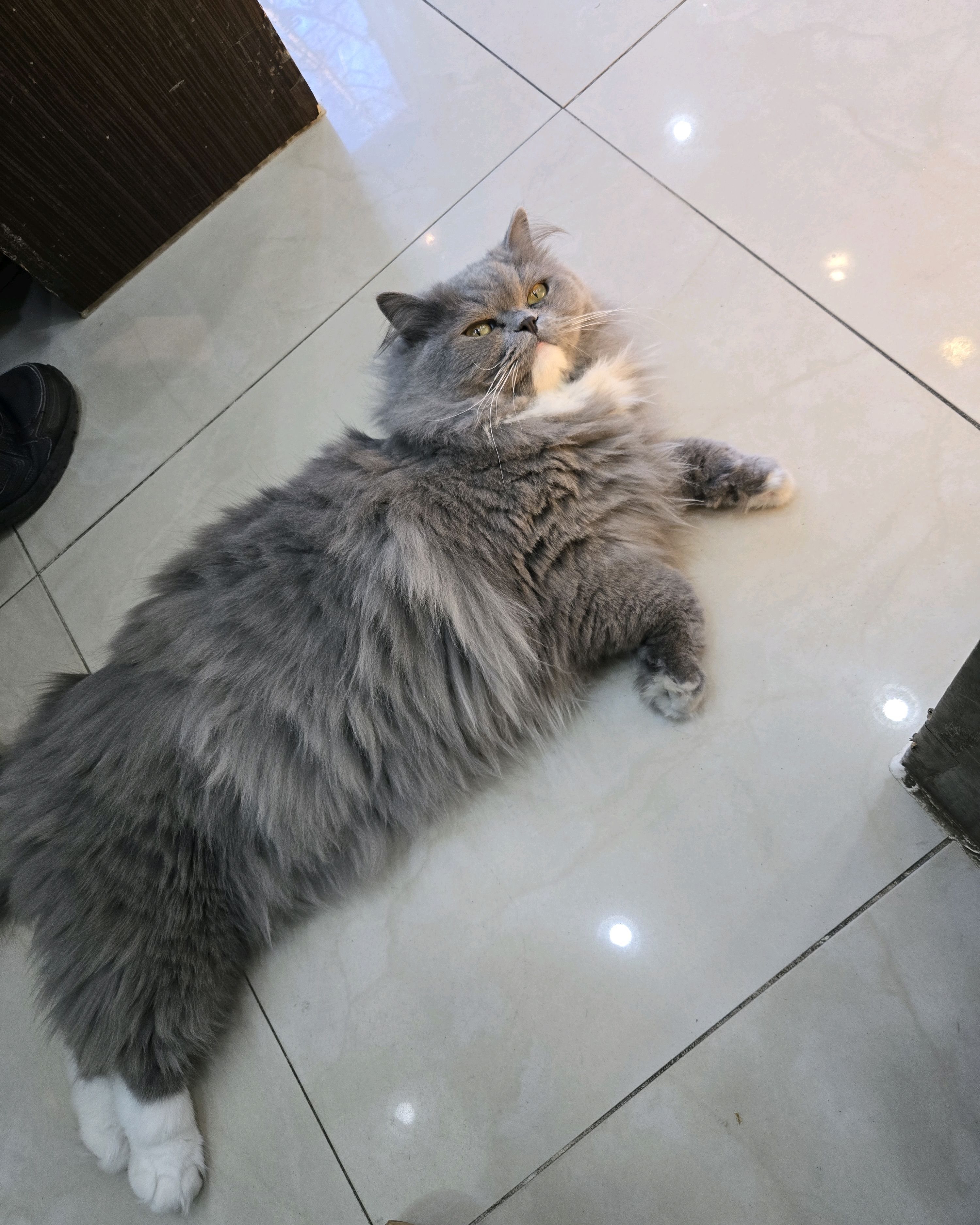 리뷰 사진 1