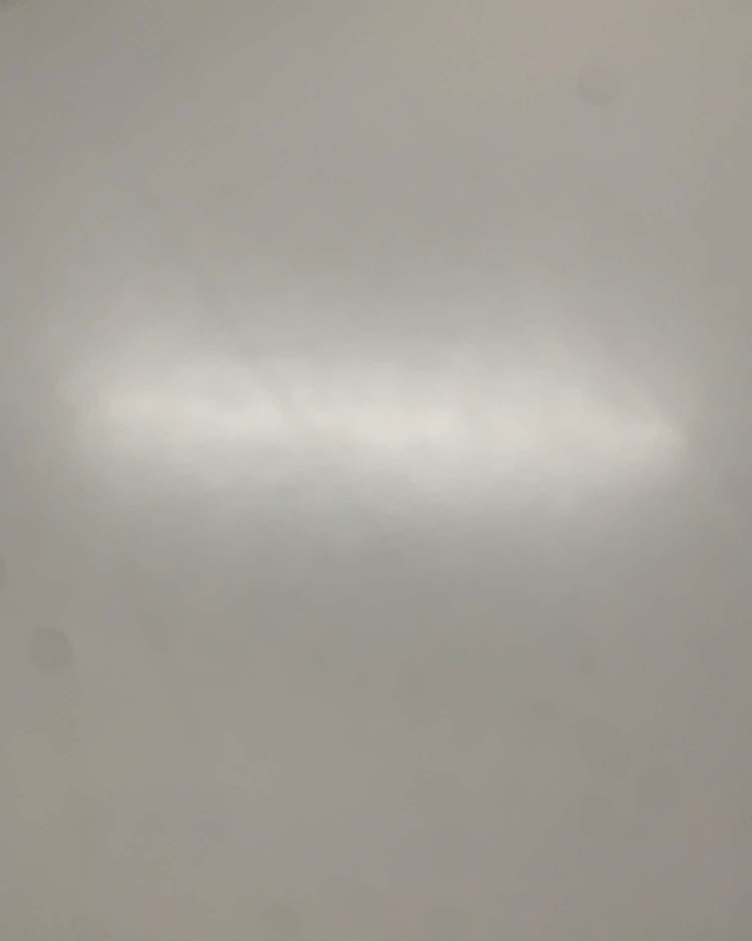 함평천지의원