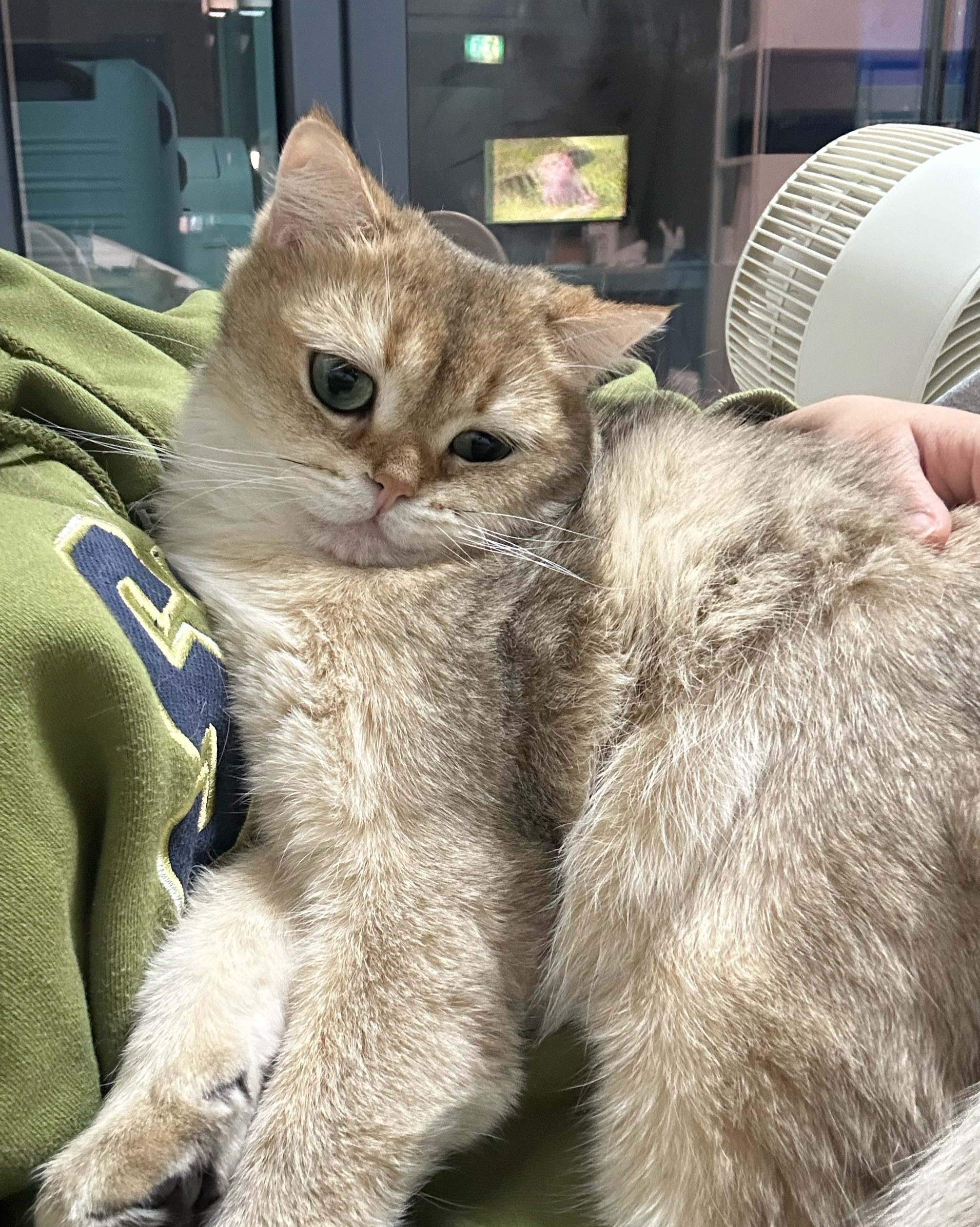 리뷰 사진 1