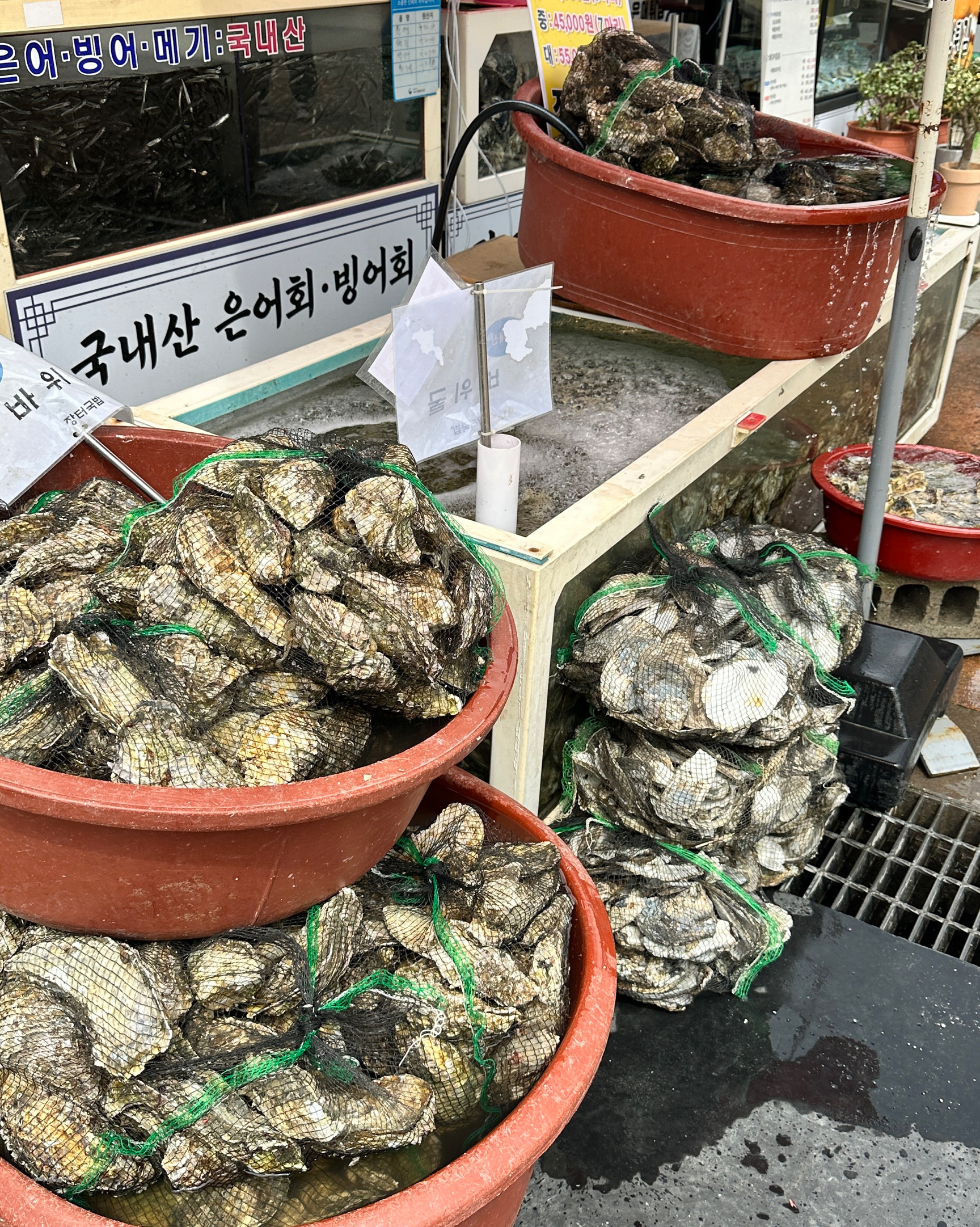 [하동 맛집 장터국밥] 직접 가본 로컬 리뷰