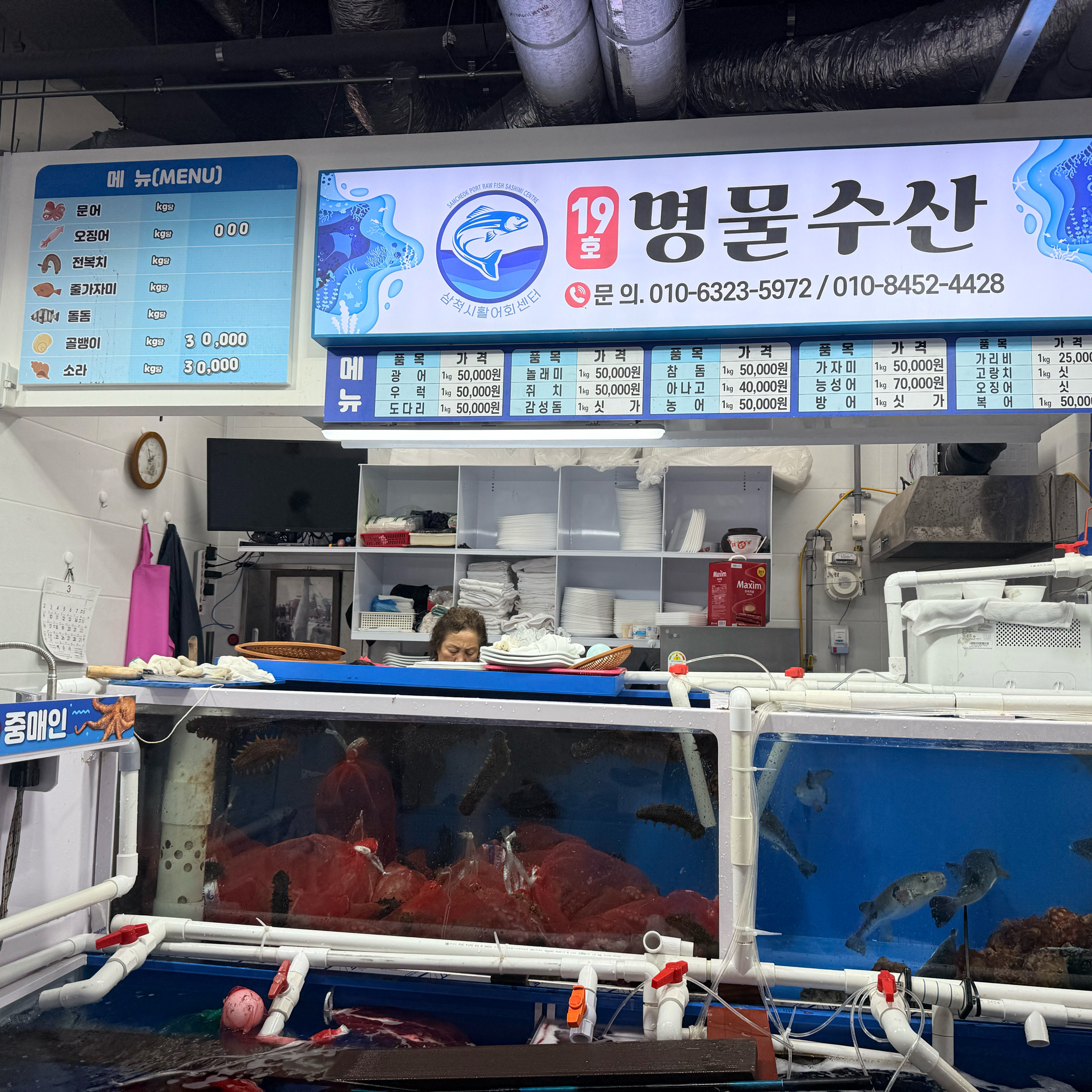 [삼척 맛집 삼척항활어회센타] 직접 가본 로컬 리뷰
