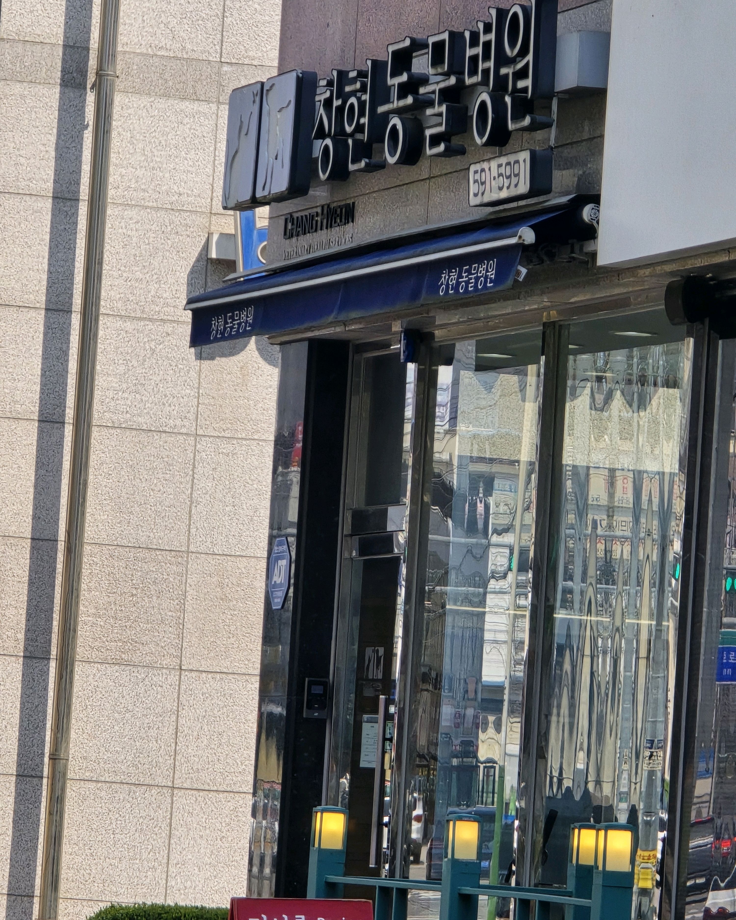 창현동물병원 사진 4