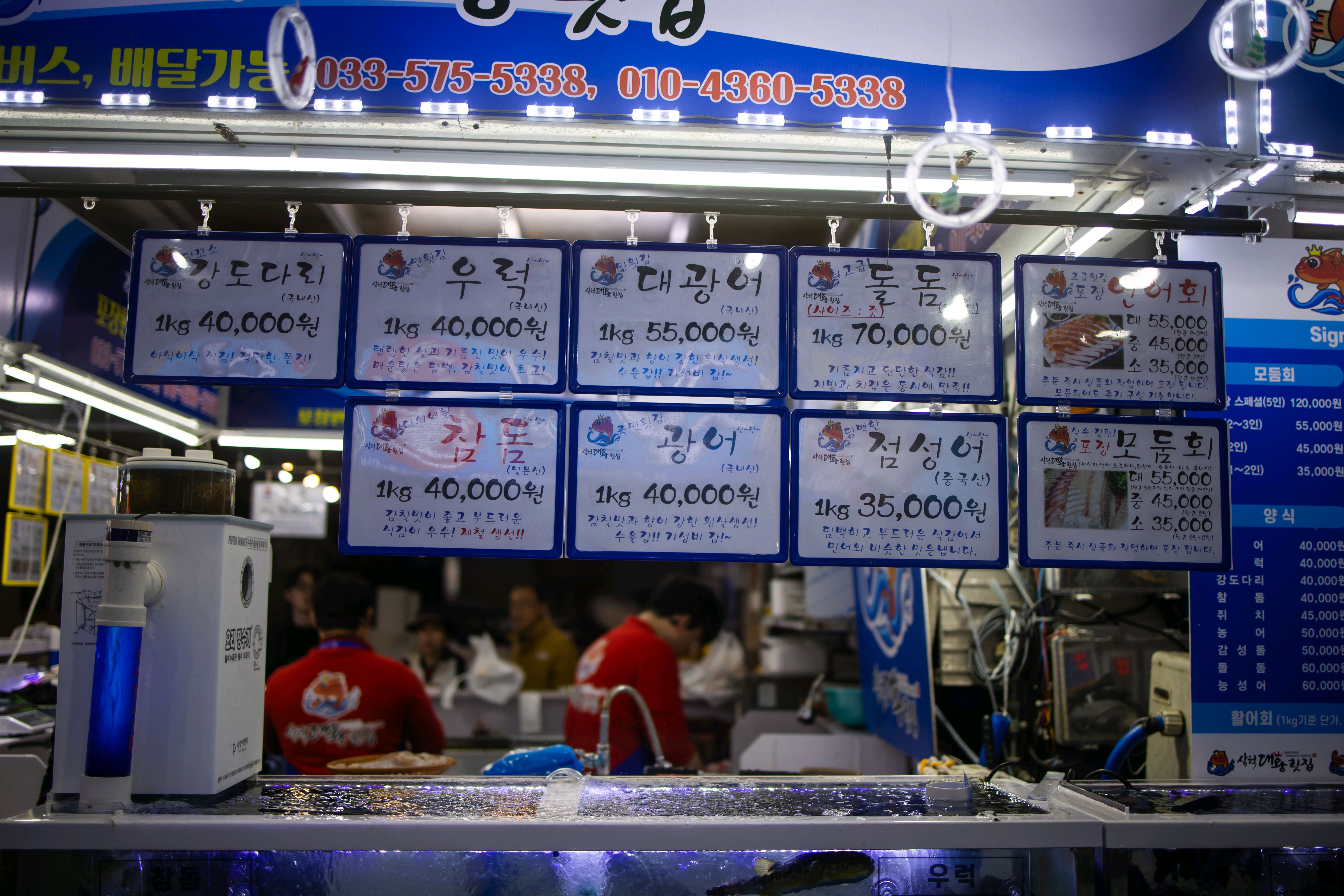 [삼척 맛집 삼척대왕횟집] 직접 가본 로컬 리뷰