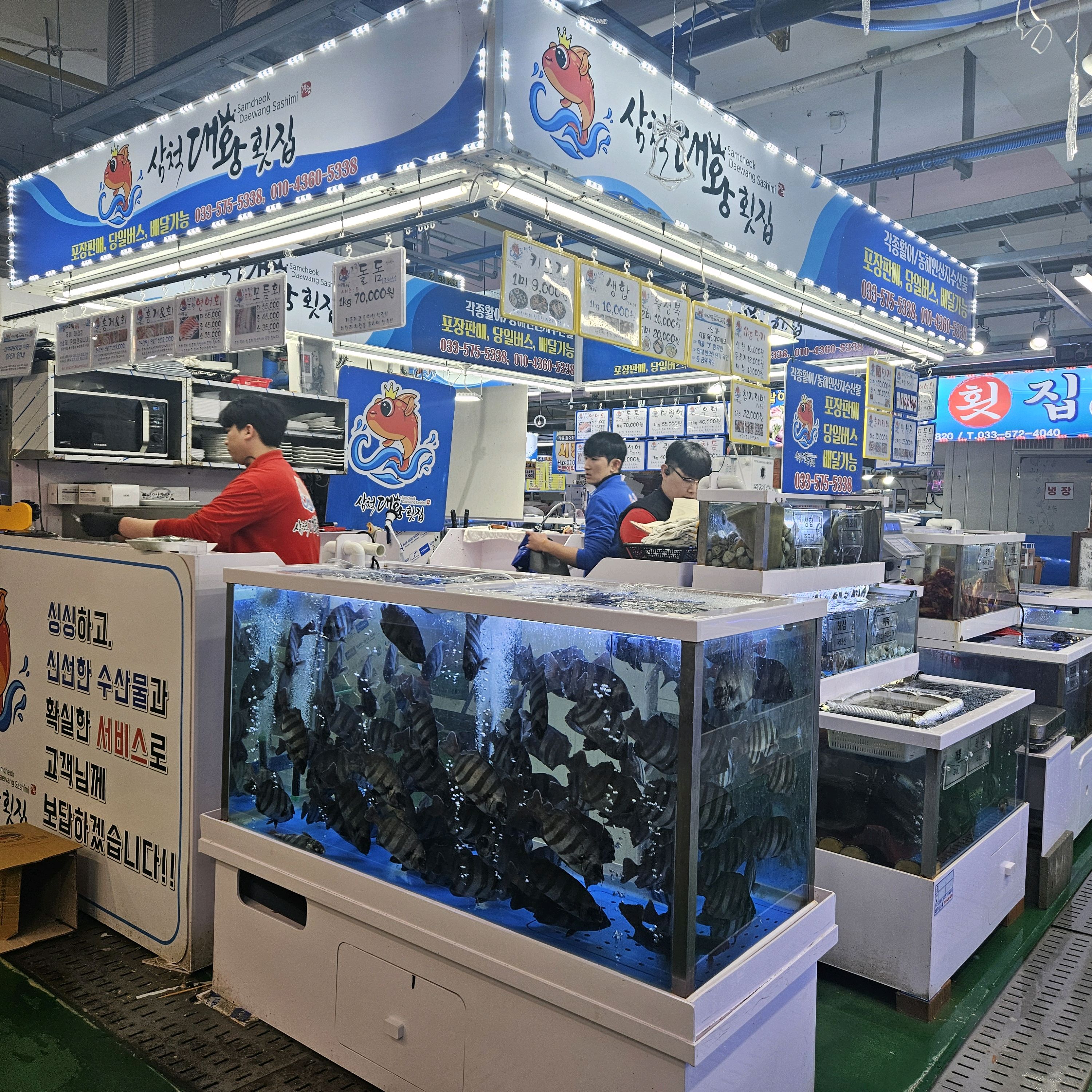 [삼척 맛집 삼척대왕횟집] 직접 가본 로컬 리뷰