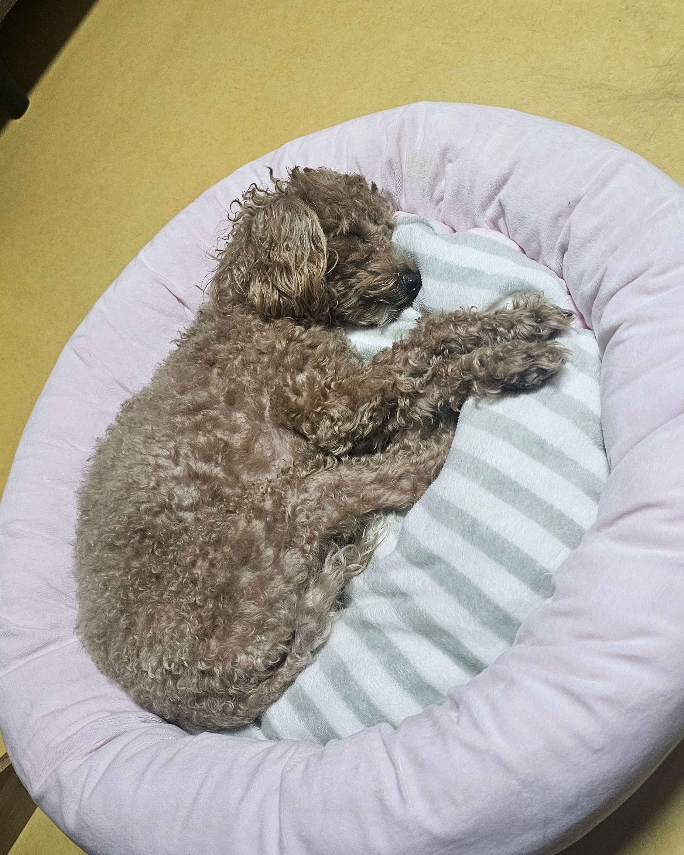 리뷰 사진 1