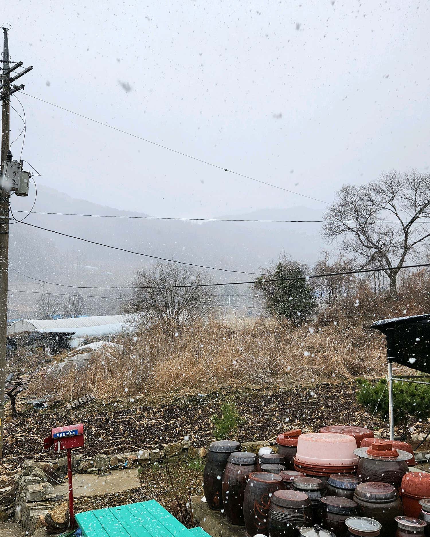 서울삼성정형외과의원