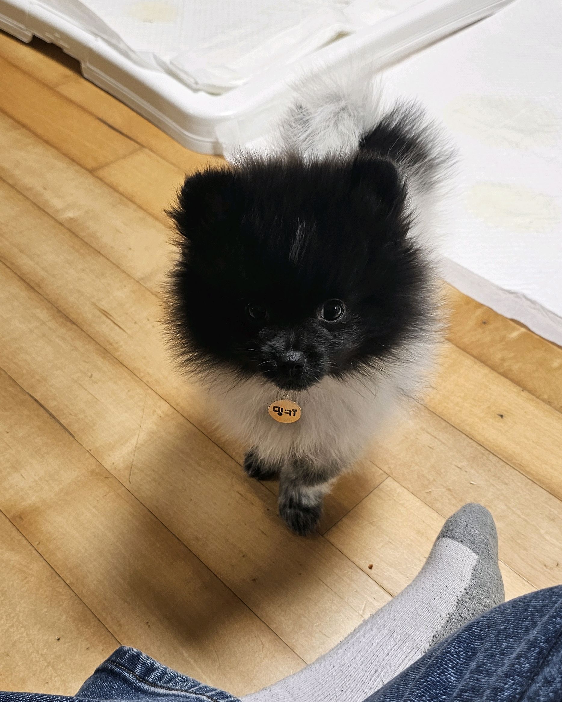 리뷰 사진 1