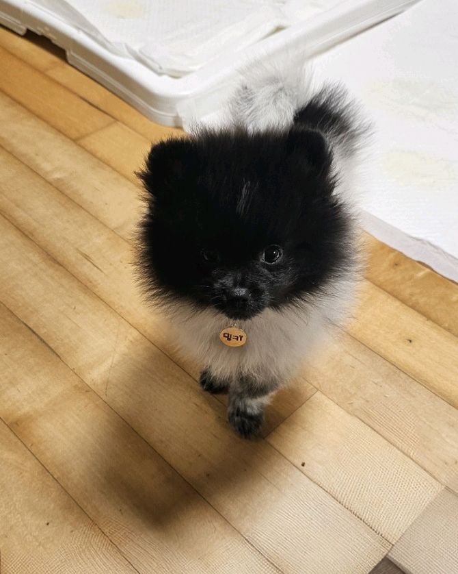 리뷰 사진 1