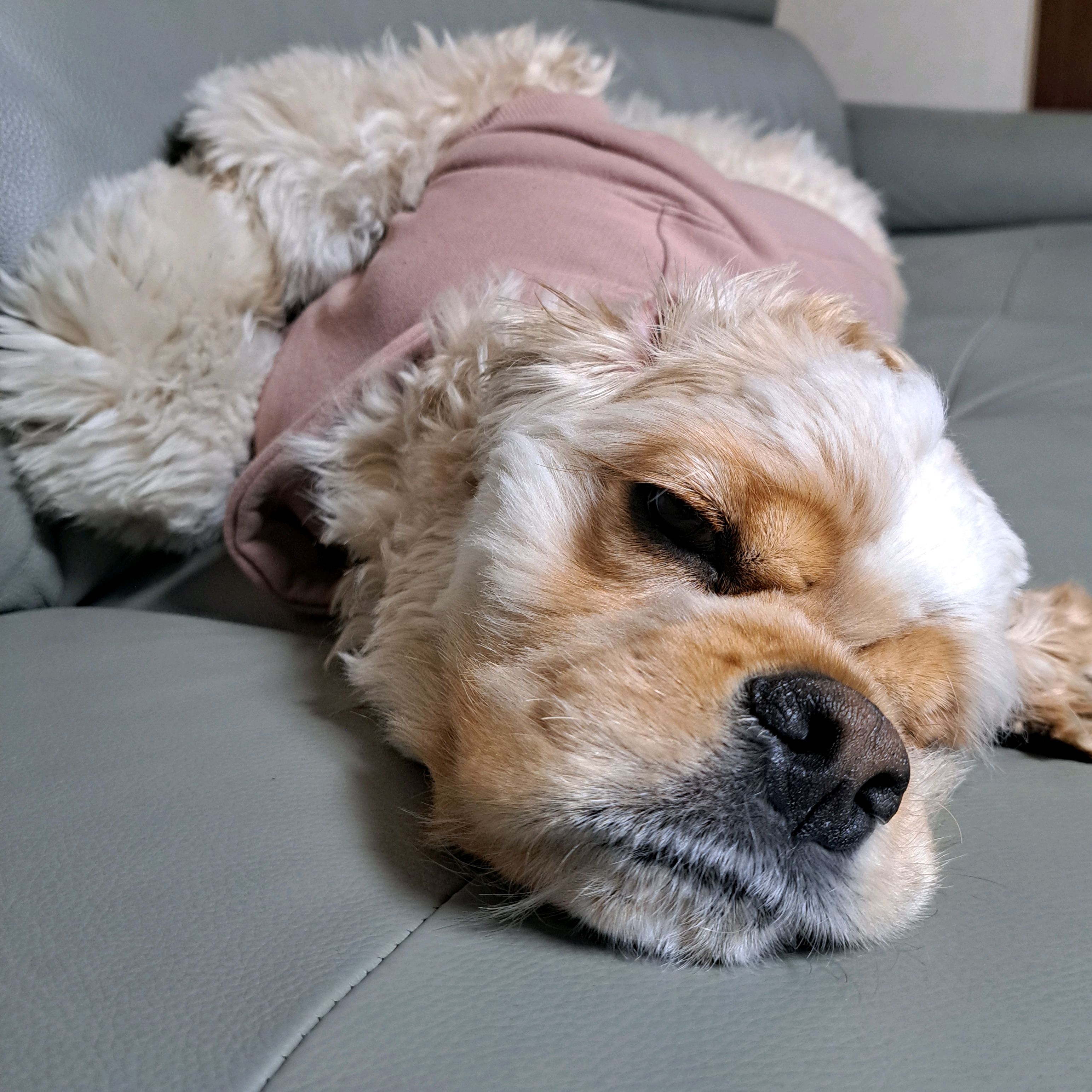 리뷰 사진 1