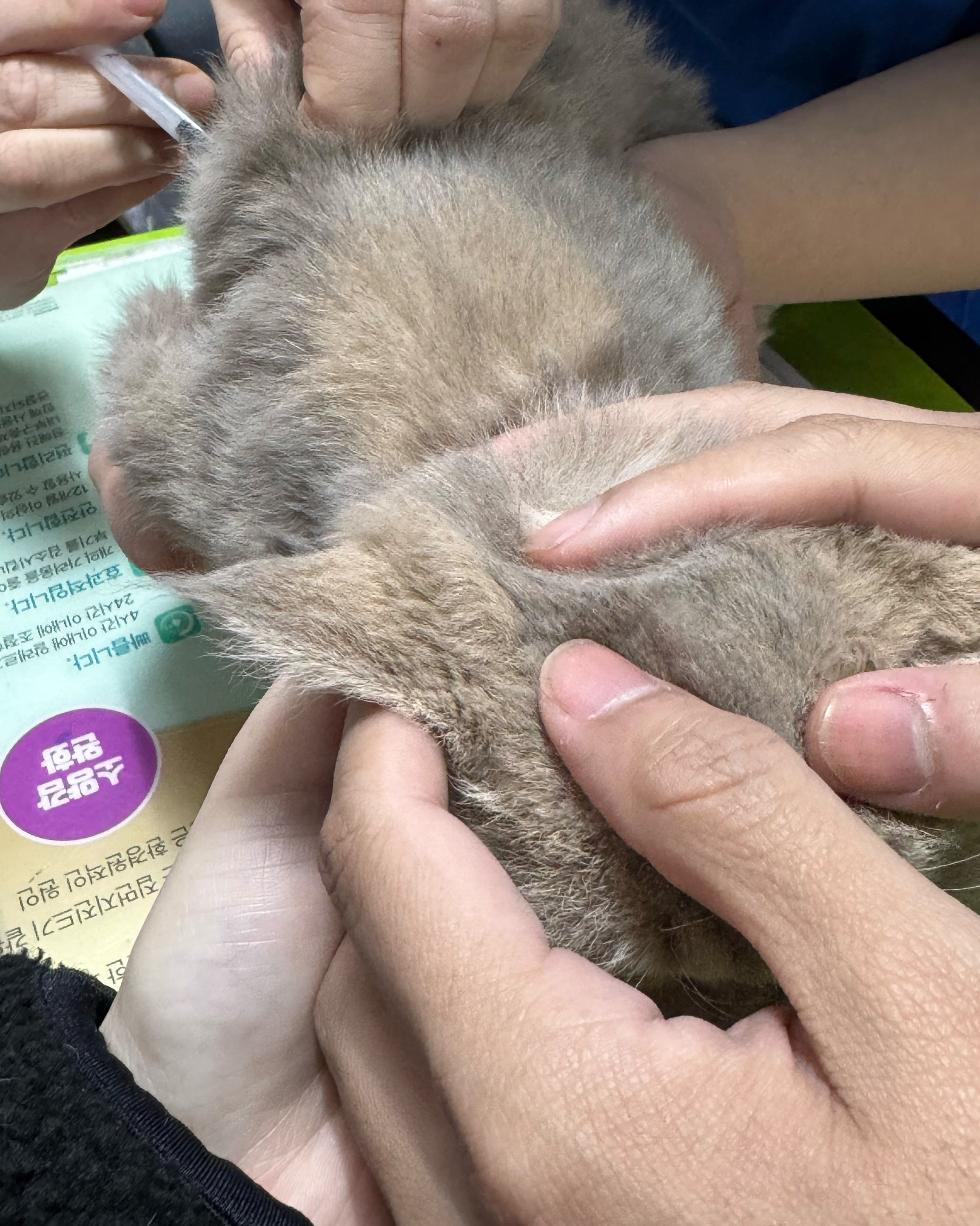 리뷰 사진 1