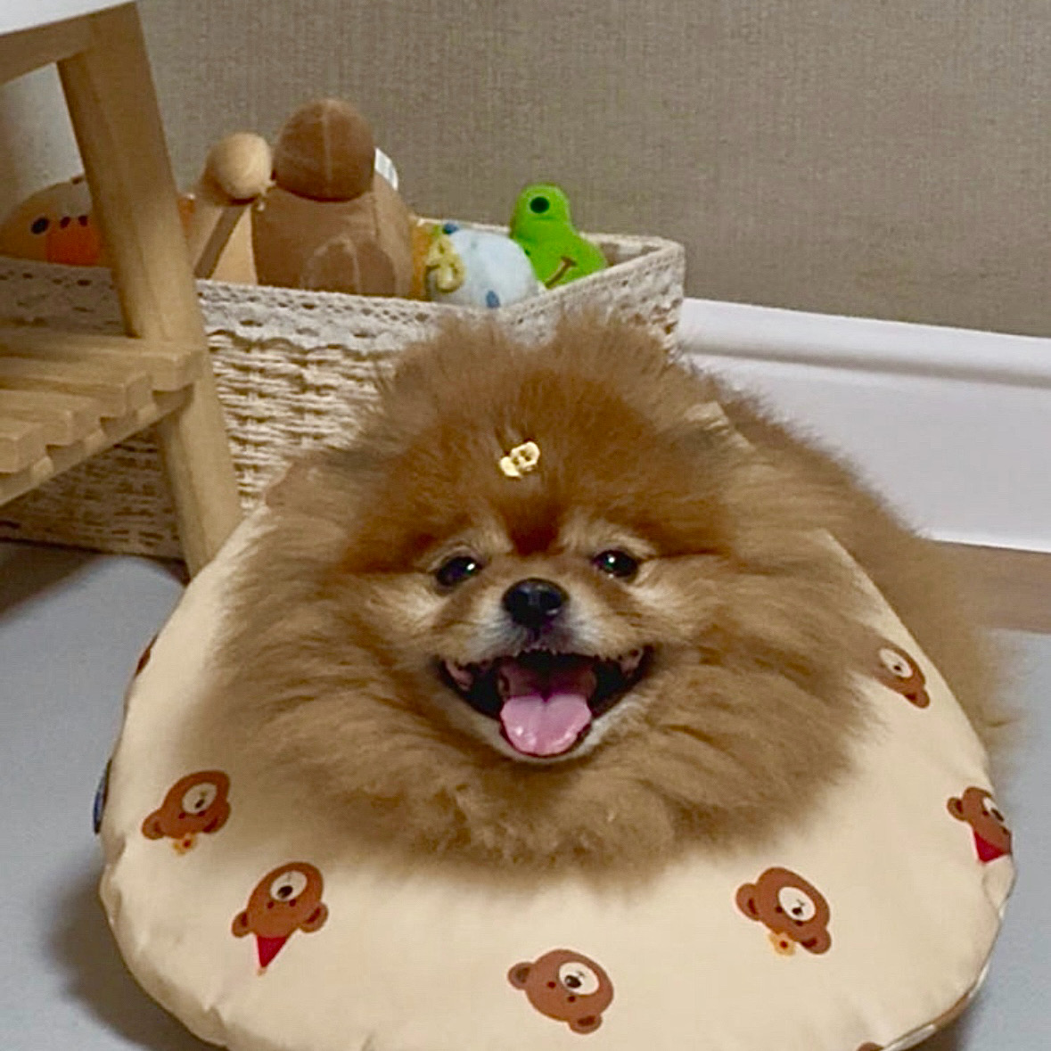 리뷰 사진 1