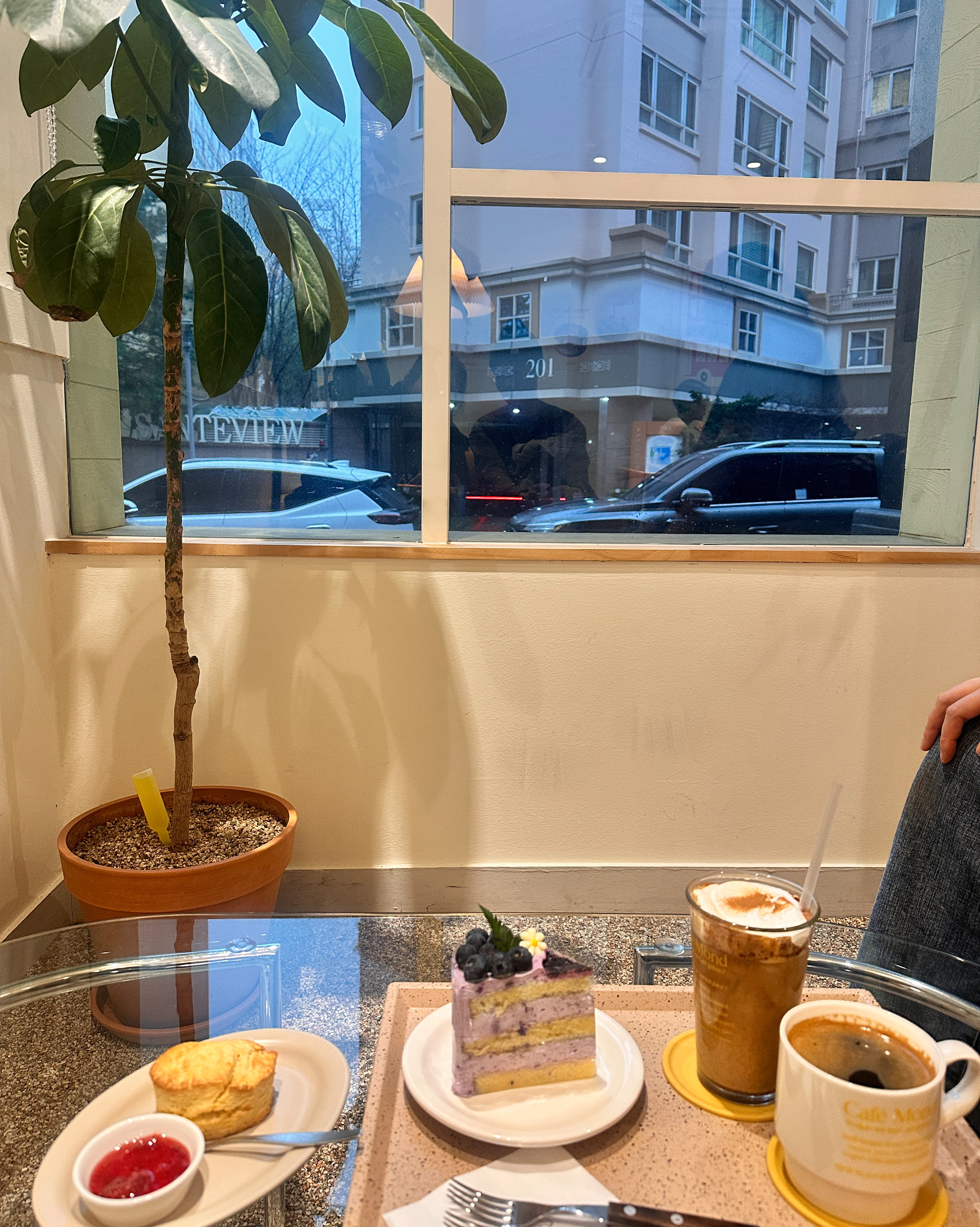 정자역 맛집 카페몬트 내돈내산 리얼후기