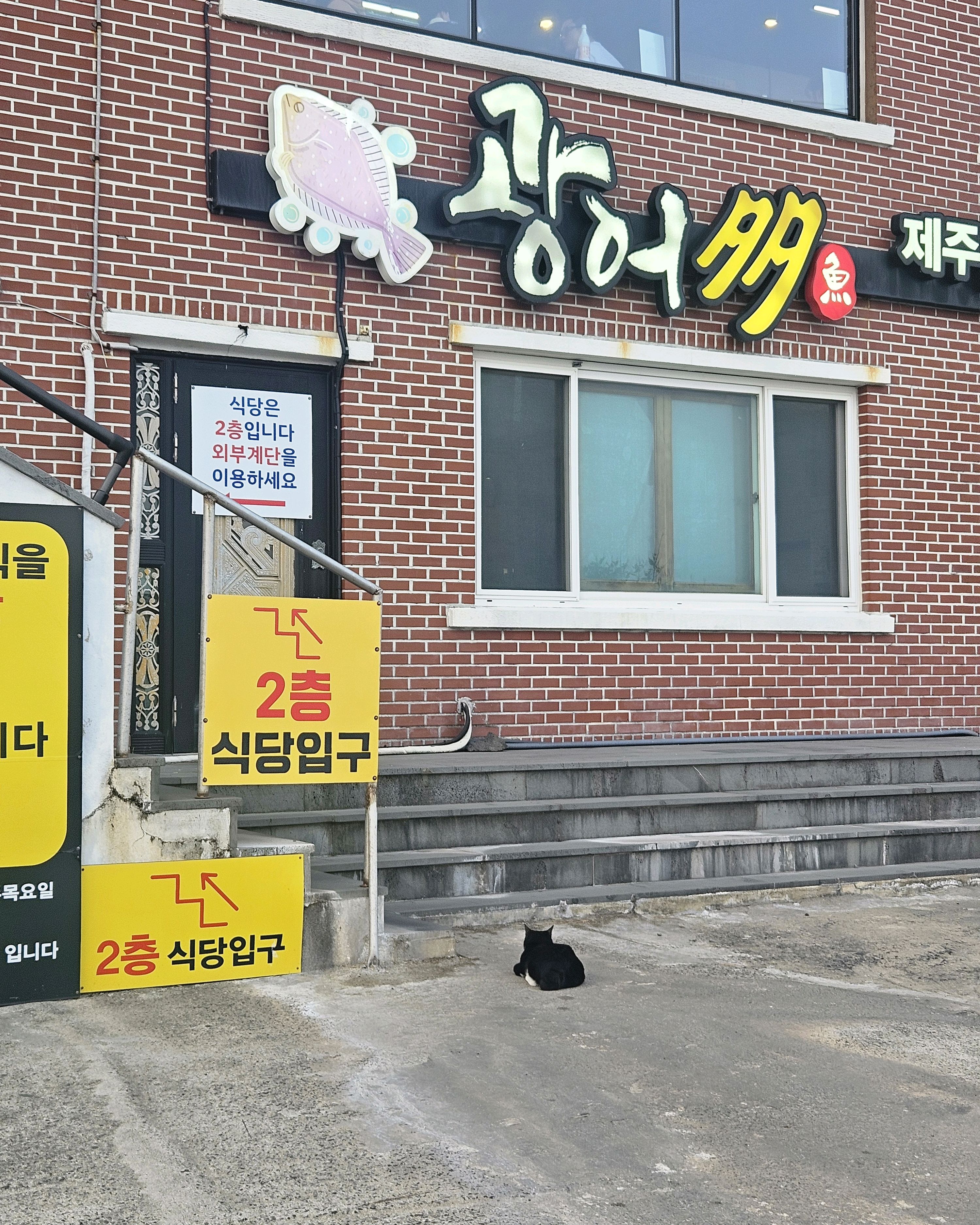 표선오면 한번씩 들리는 광어다.광어가 맛잇어지는 유일한 곳이에요.아주 신선하고.크음직하게 