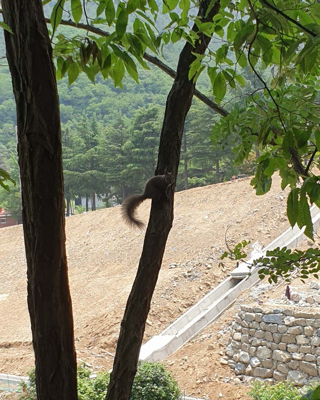 바른의원
