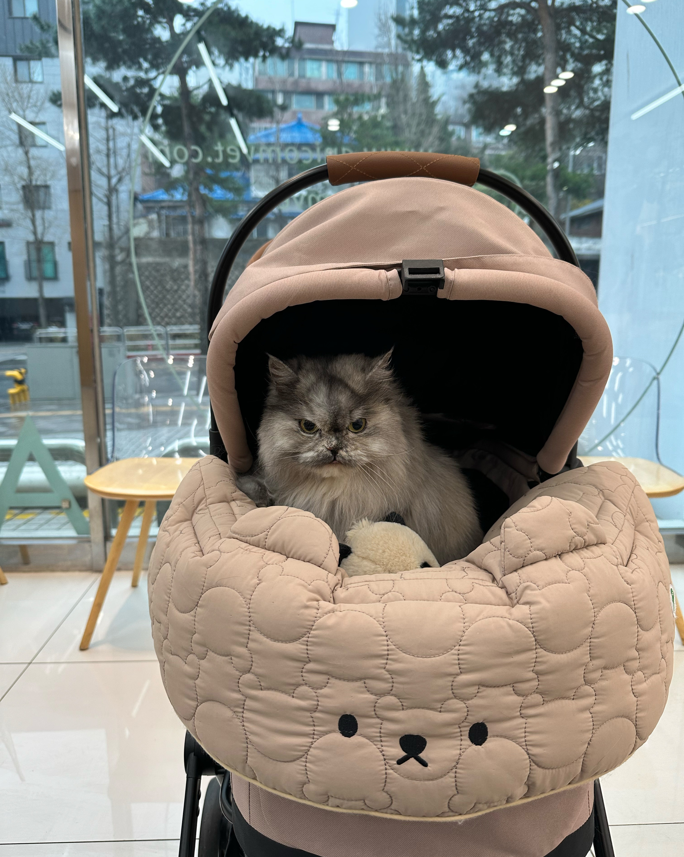 리뷰 사진 1