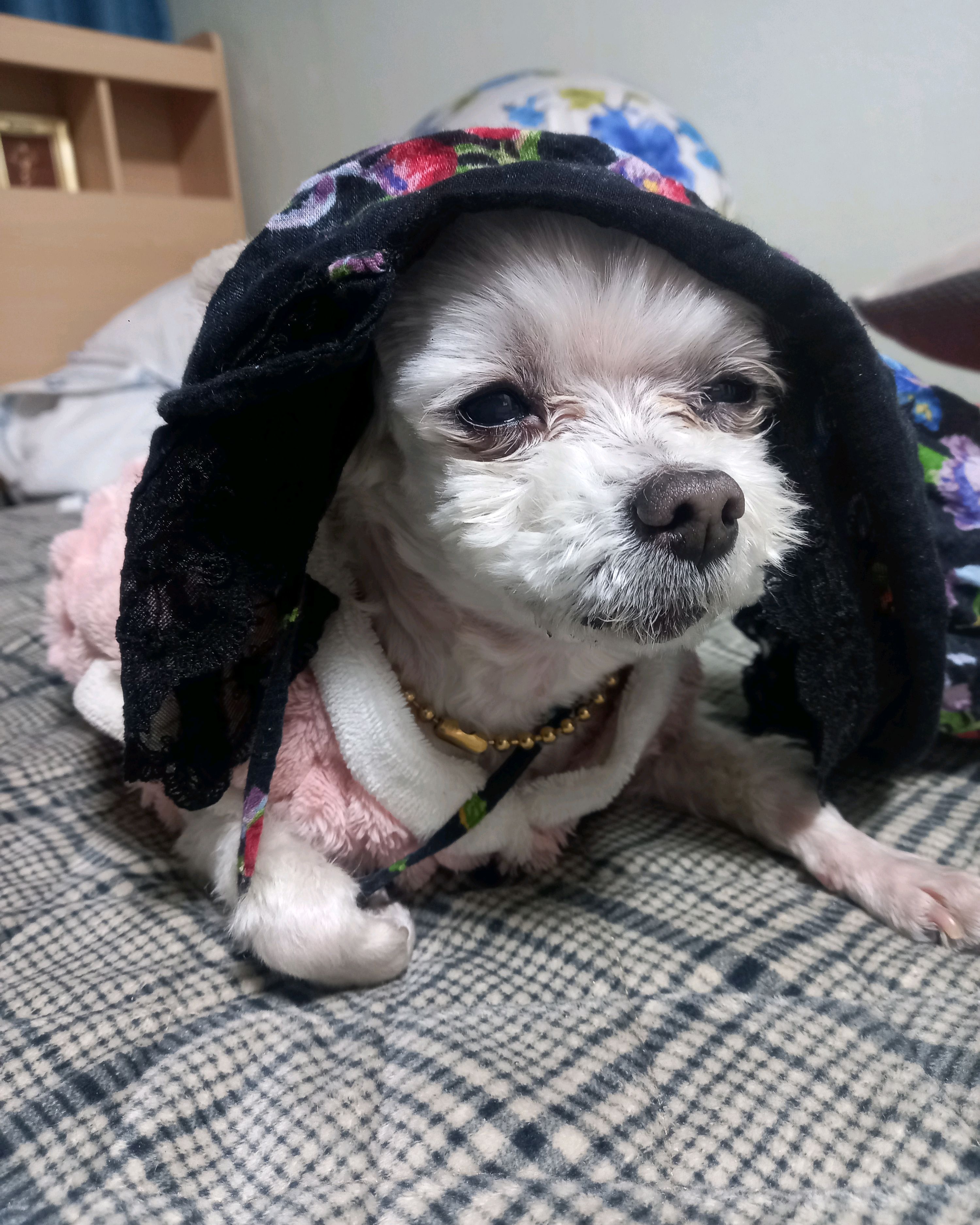 리뷰 사진 1
