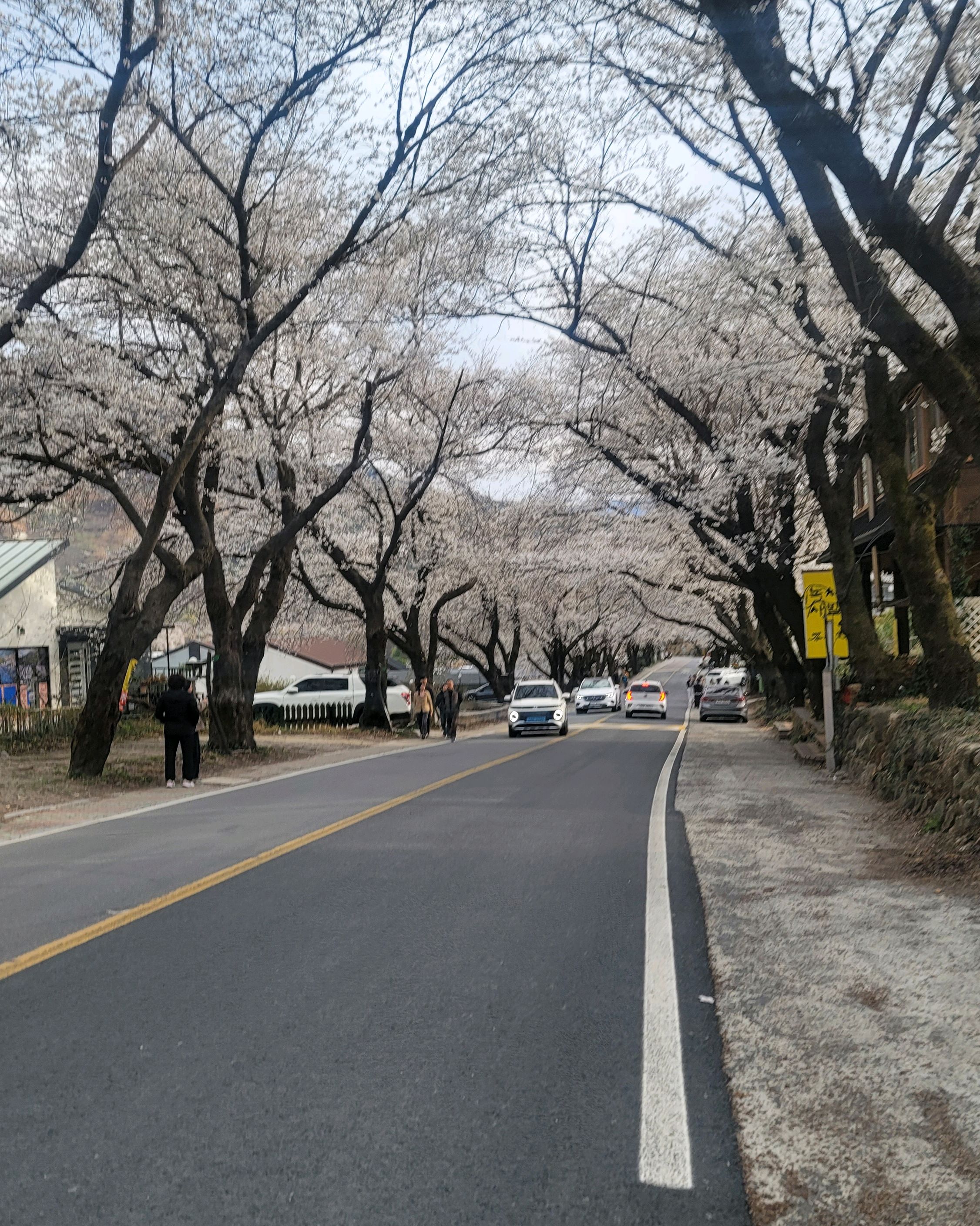 [하동 맛집 아리곳간 화개장터] 직접 가본 로컬 리뷰