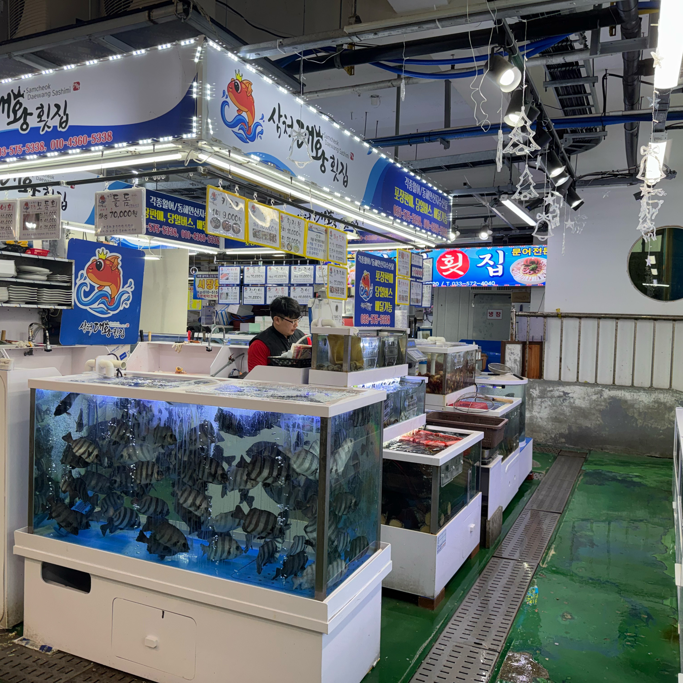 [삼척 맛집 삼척대왕횟집] 직접 가본 로컬 리뷰