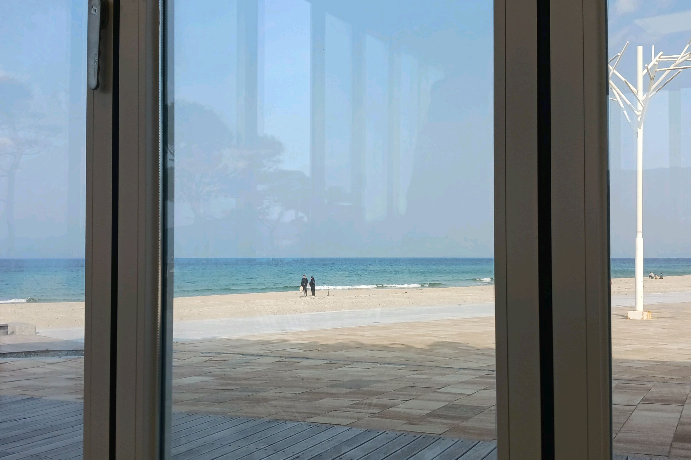[동해 맛집 오아시스in망상] 직접 가본 로컬 리뷰