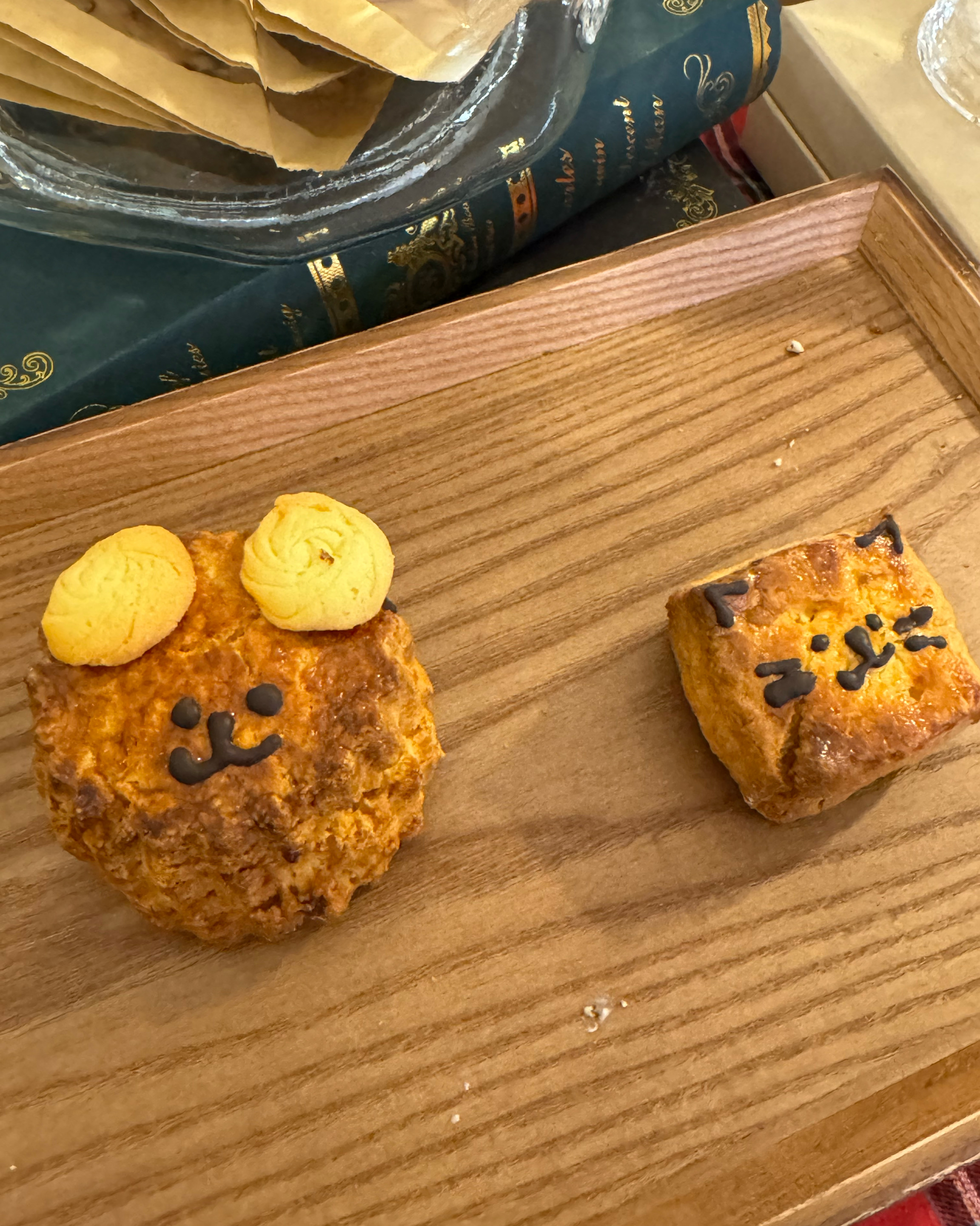 정자역 맛집 카타리나 내돈내산 찐리뷰
