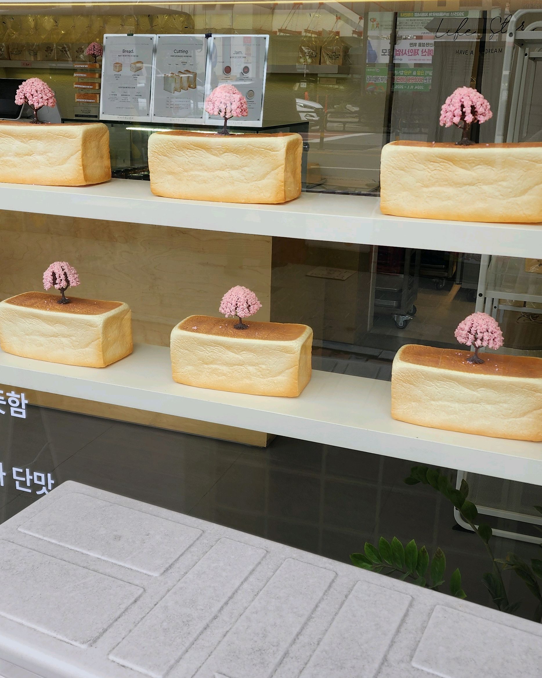 지나가다 그냥 샀는데 쪽득쪽득 맛있어서 다음에도 이용할 생각입니다. - 마산 양덕동 맛집 화이트리에 메트로시티점