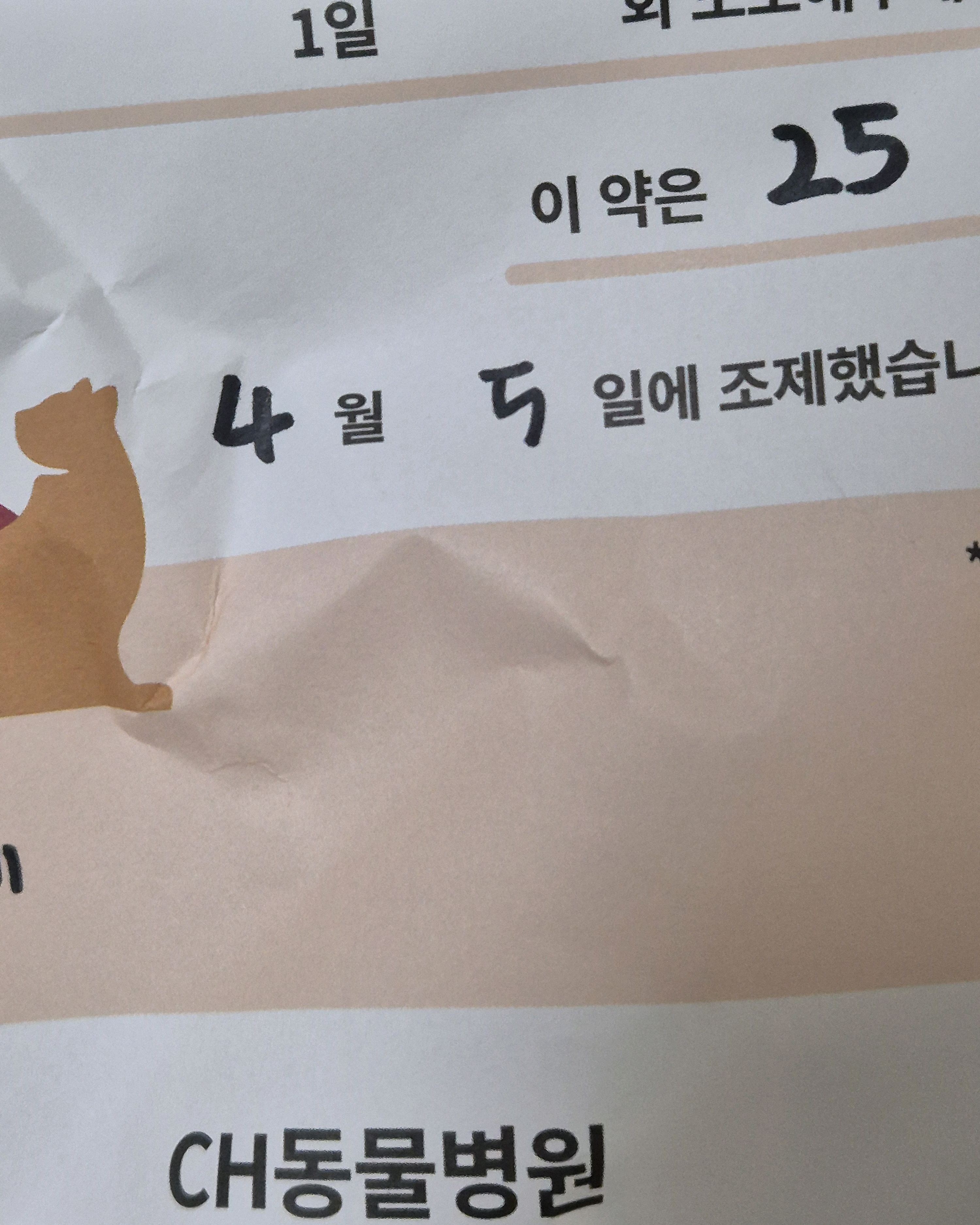 리뷰 사진 1