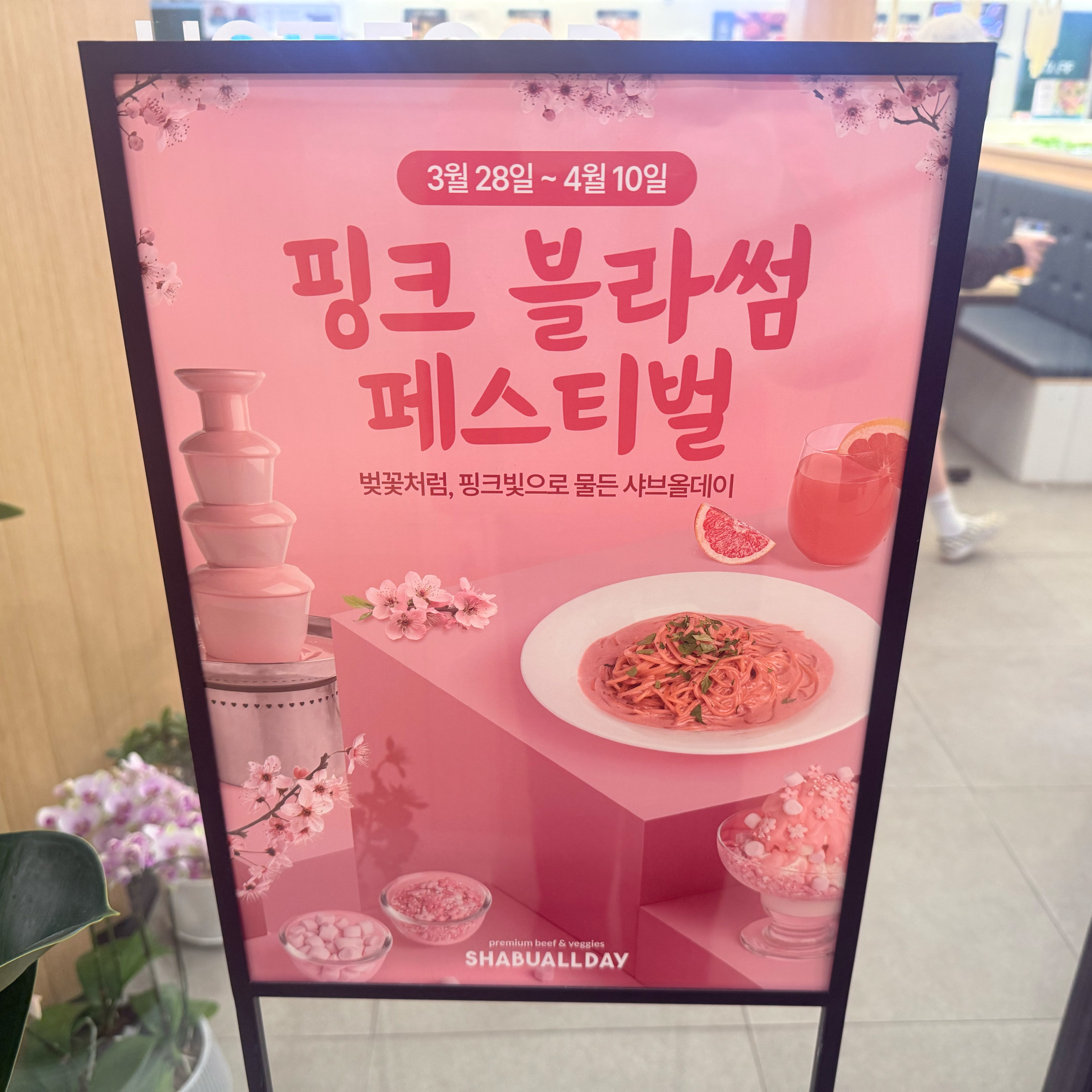 페스티벌 없어도 맛잇는 샤브올데이~ 월남쌈을 너무 좋아해서 항상 잘 이용합니다 - 제주도 서귀포 맛집 샤브올데이 제주서귀포점