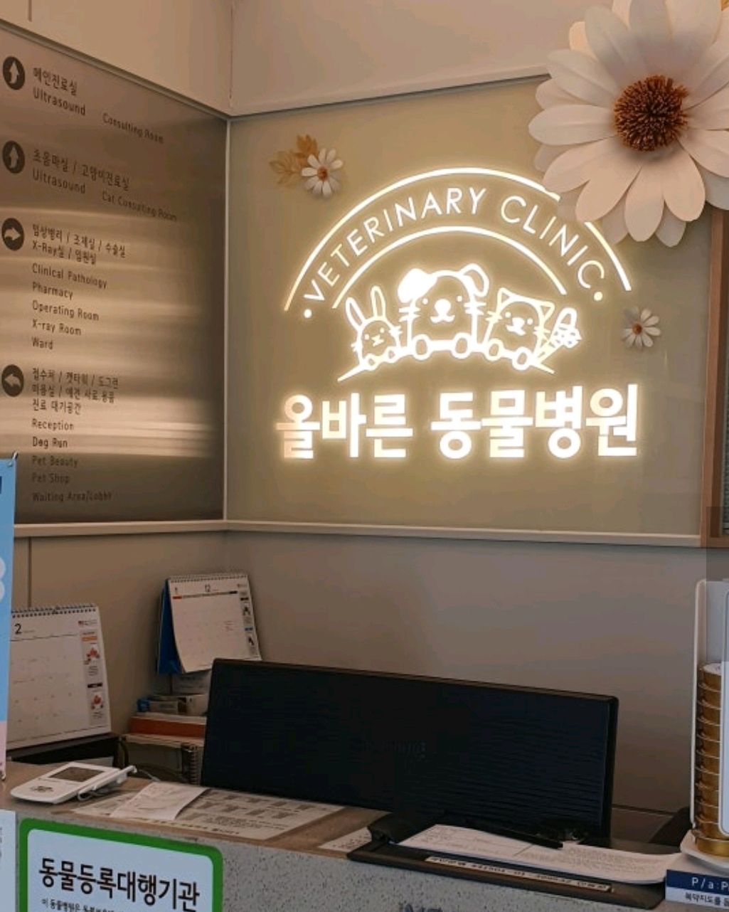 리뷰 사진 1