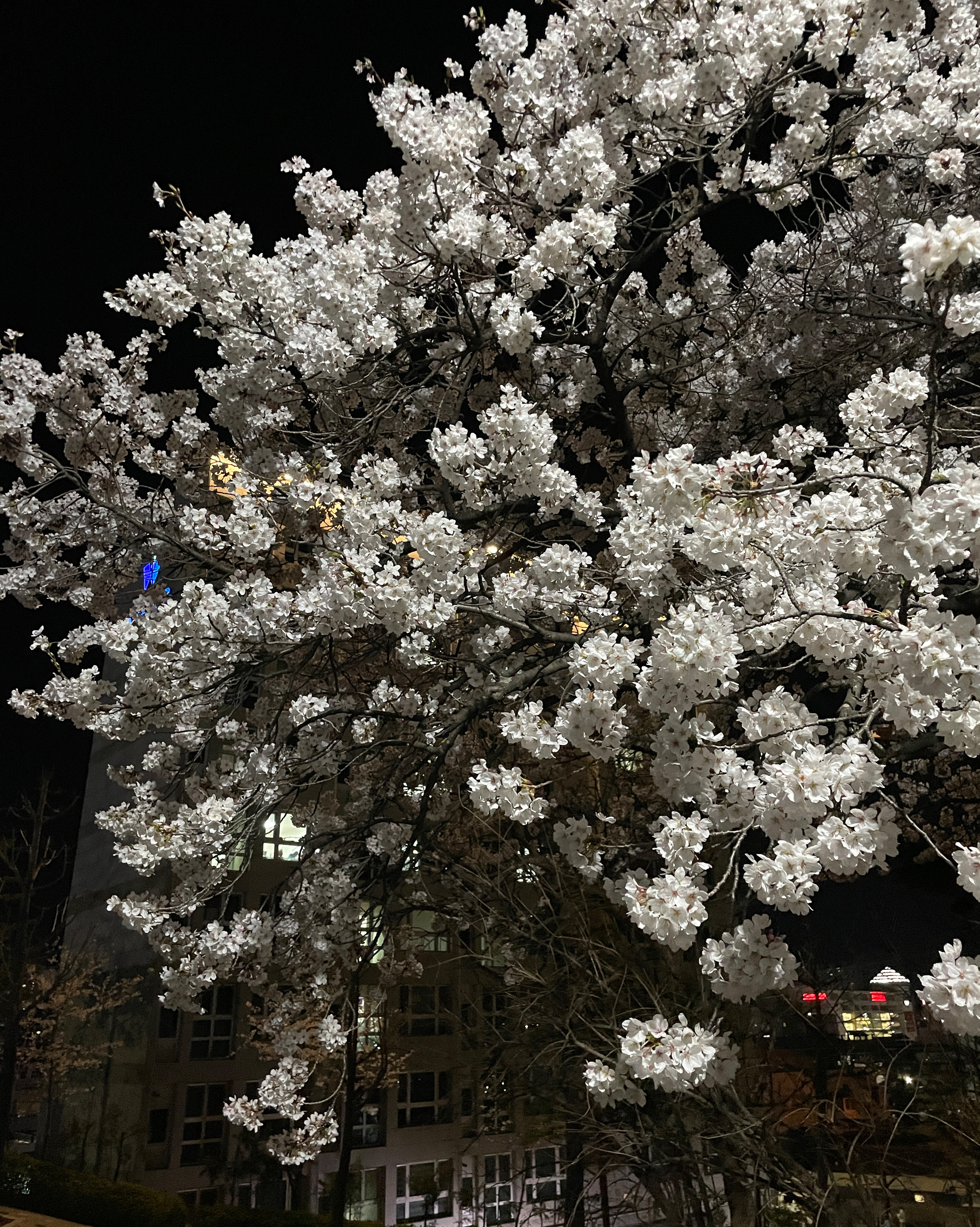 리뷰 사진 1