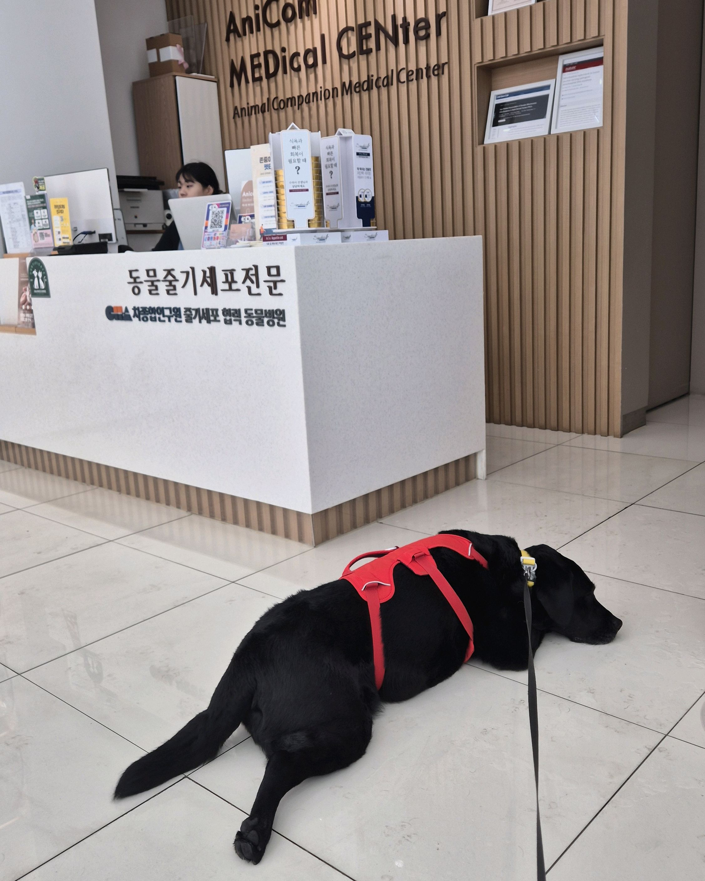 리뷰 사진 1