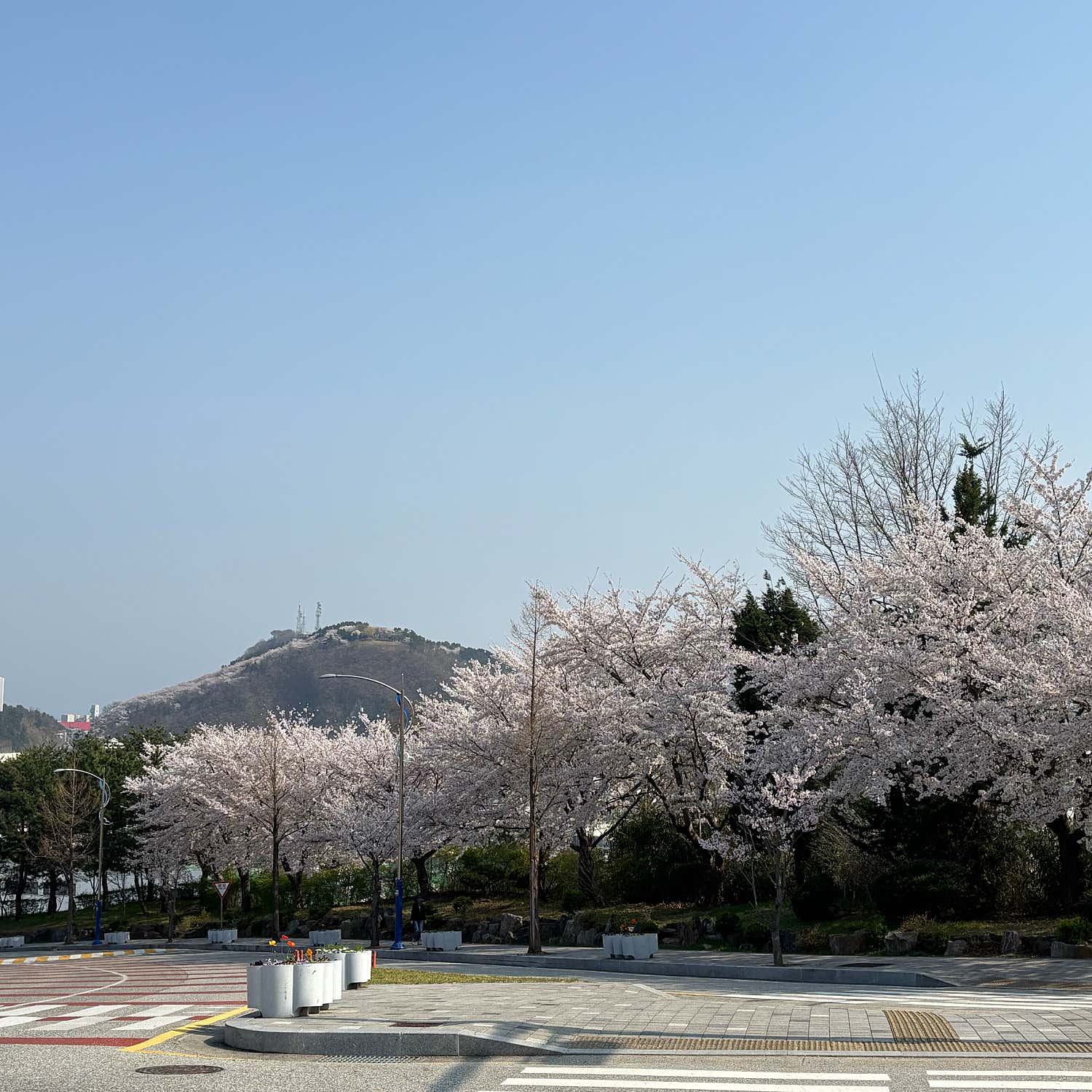 아산퍼스트마취통증의학과의원