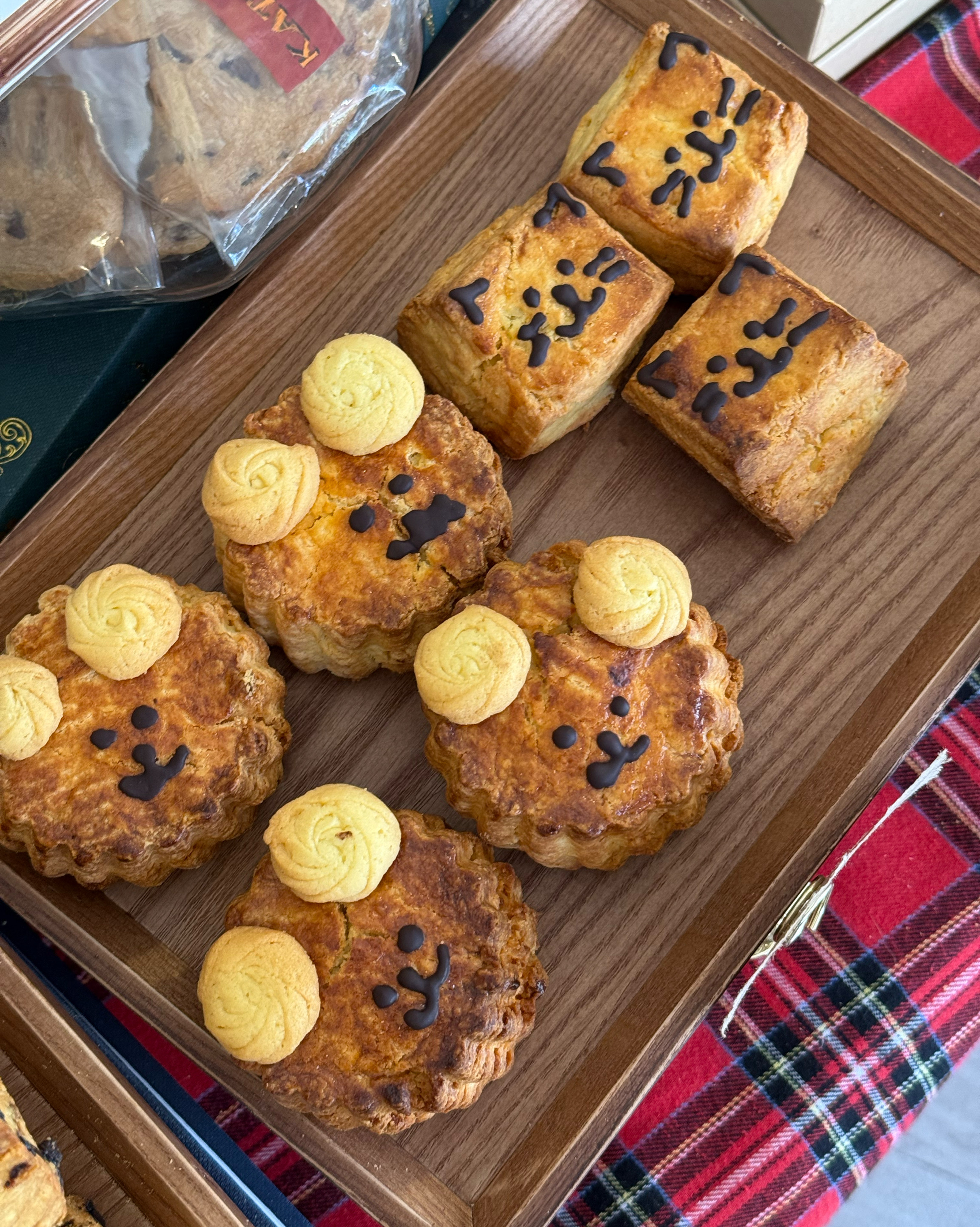 정자역 맛집 카타리나 내돈내산 찐리뷰