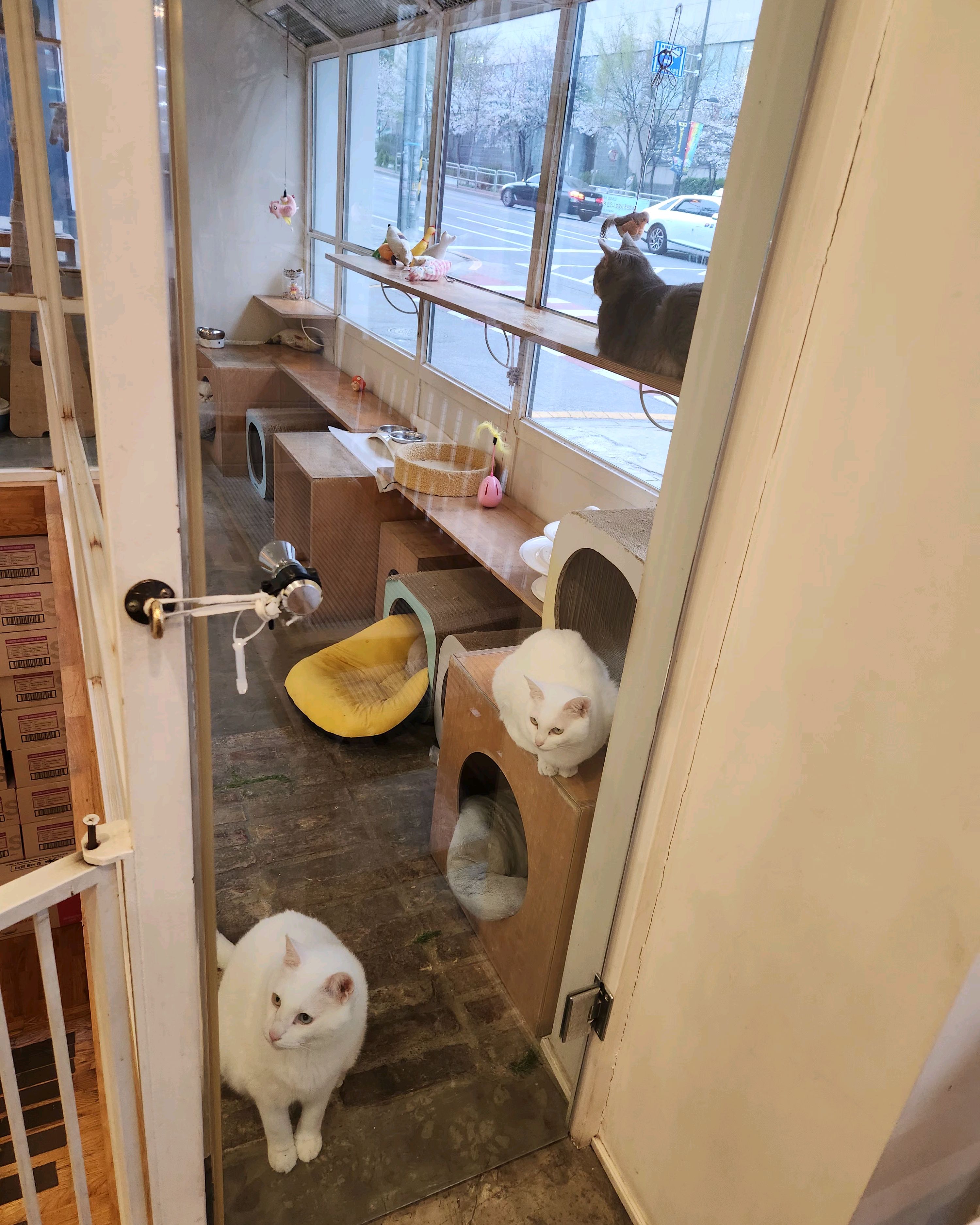 리뷰 사진 3