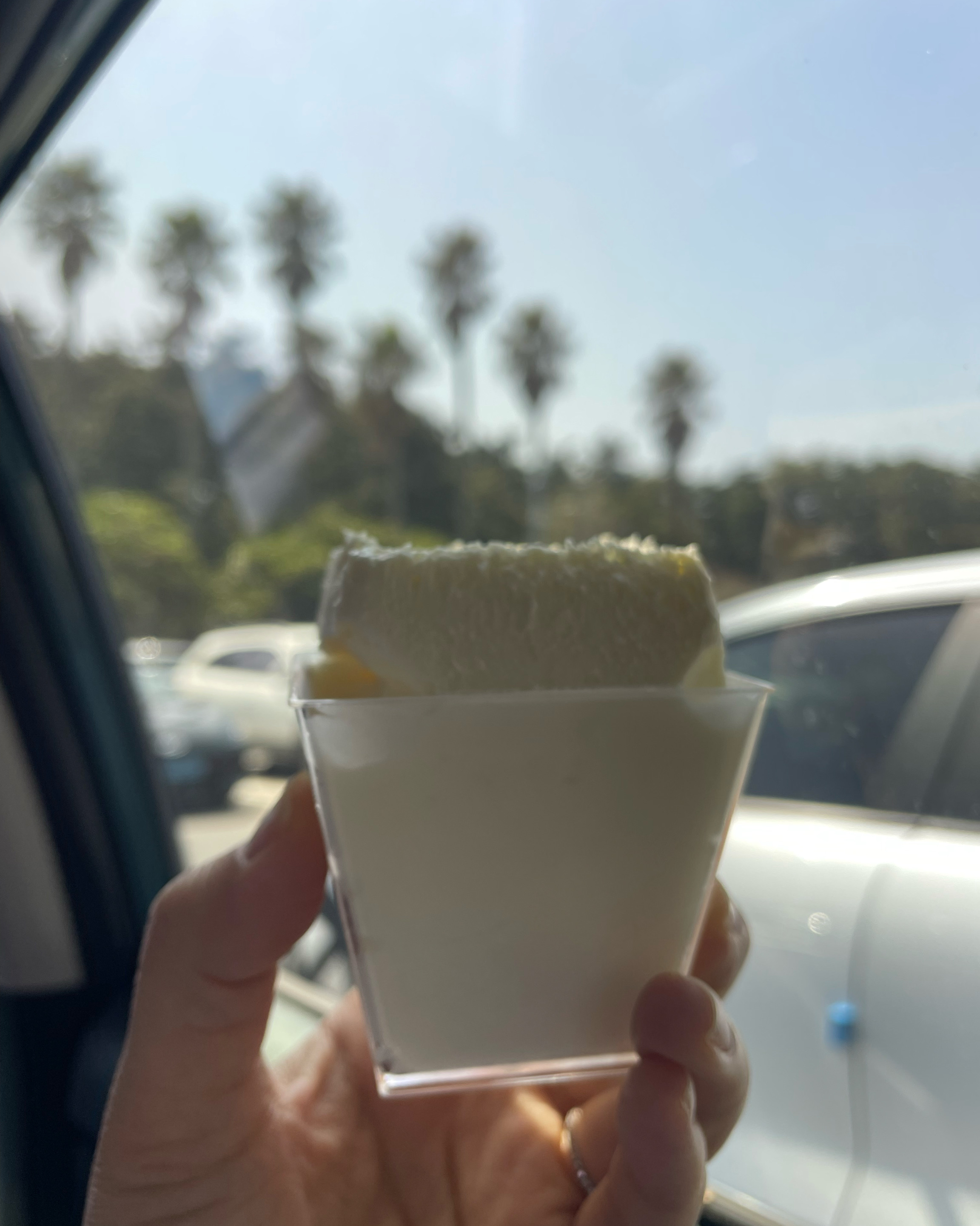 귀여운 아이스크림 - 제주 맛집 에귤타르트 이호테우해변점