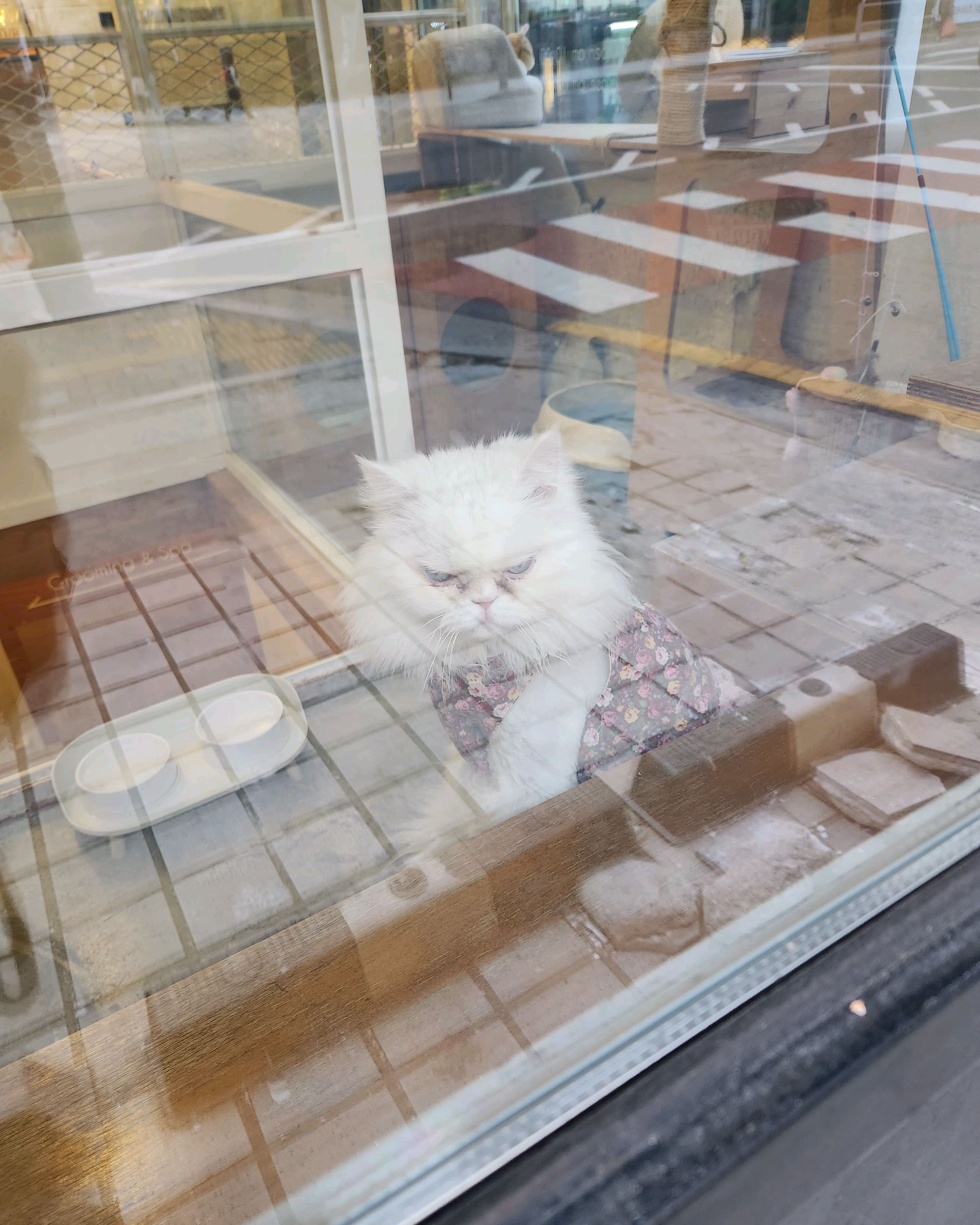 리뷰 사진 2