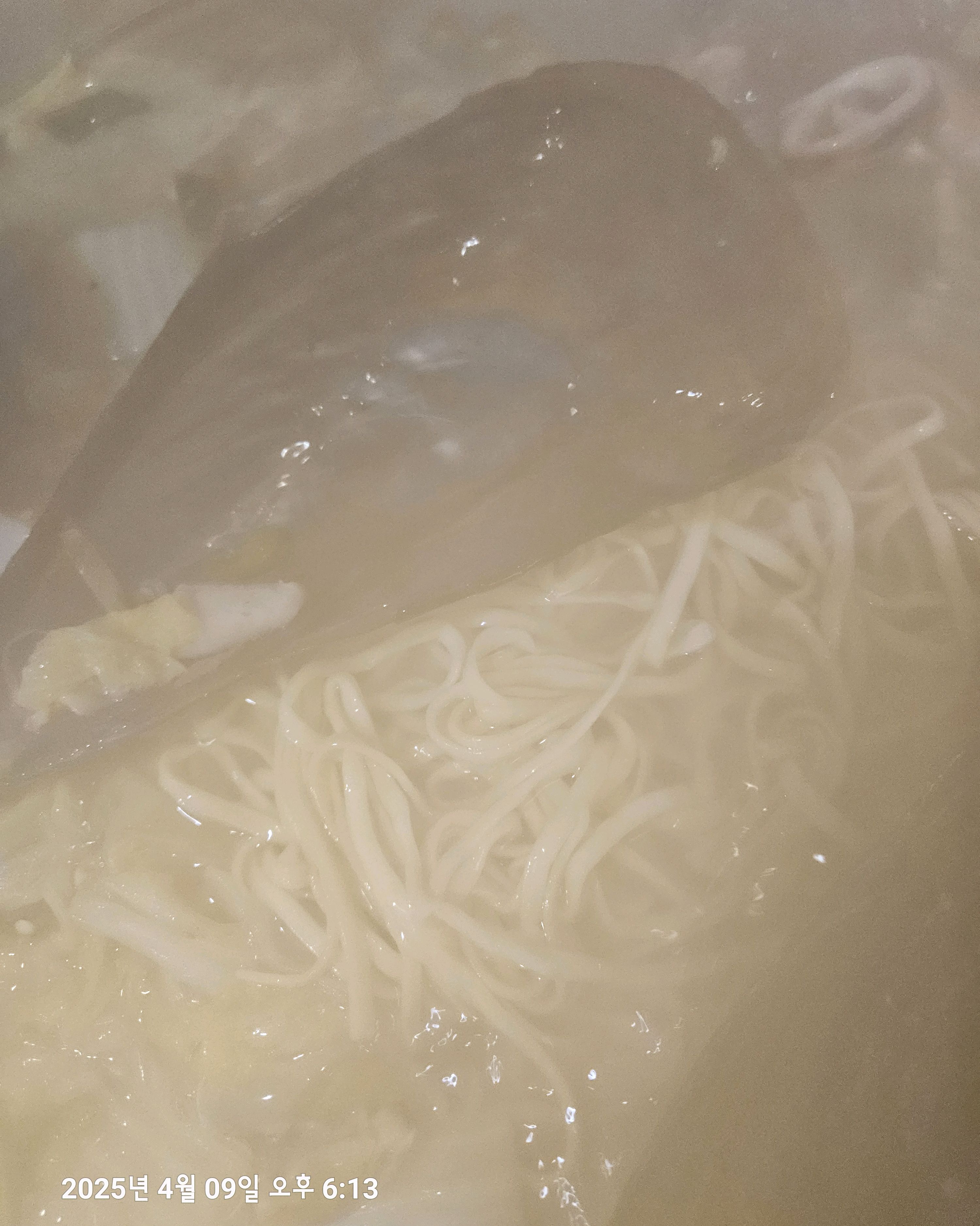 미금역 맛집 택이네 조개전골 미금역점 내돈내산 최신리뷰