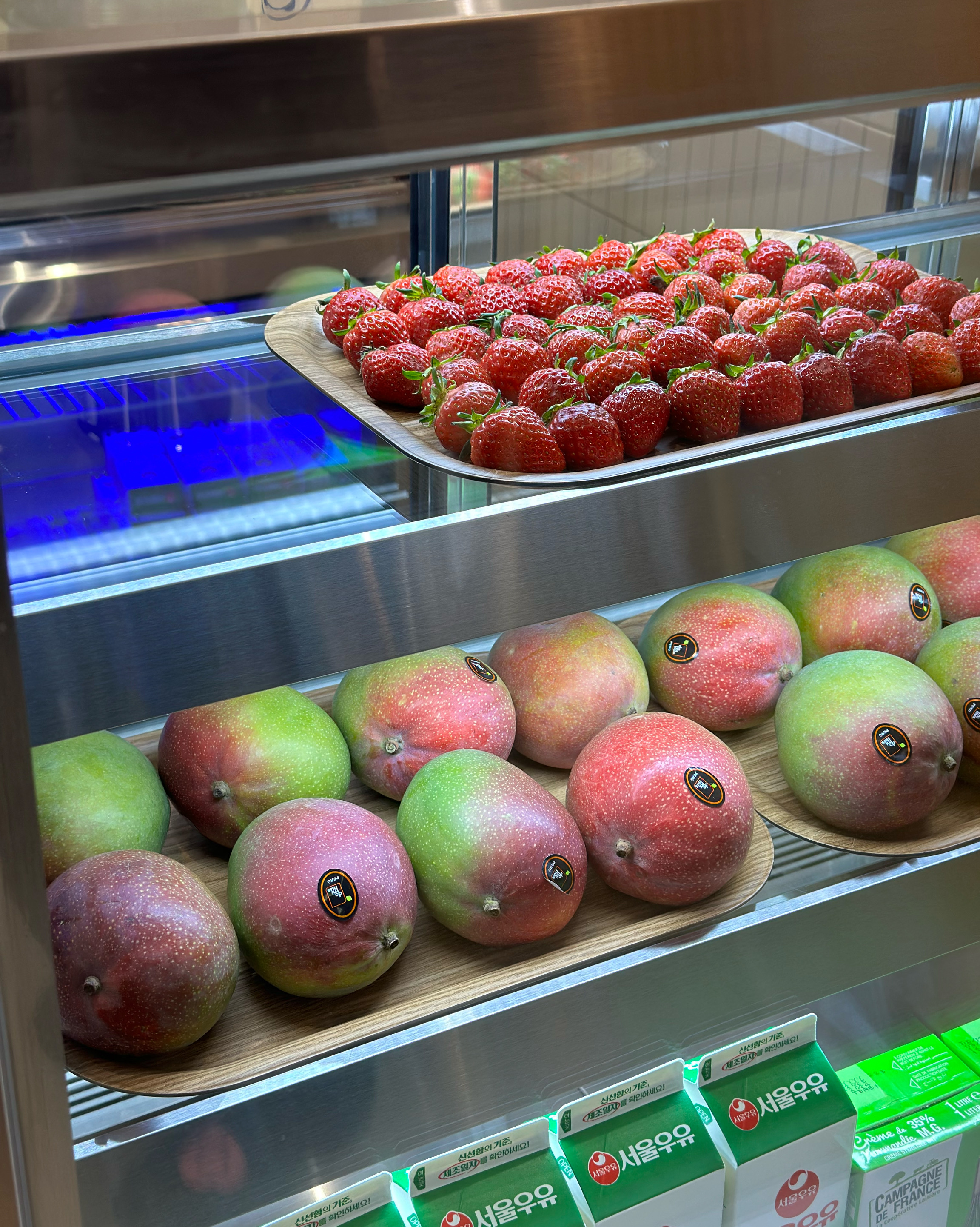 정자역 맛집 차백도 분당정자점 내돈내산 방문후기