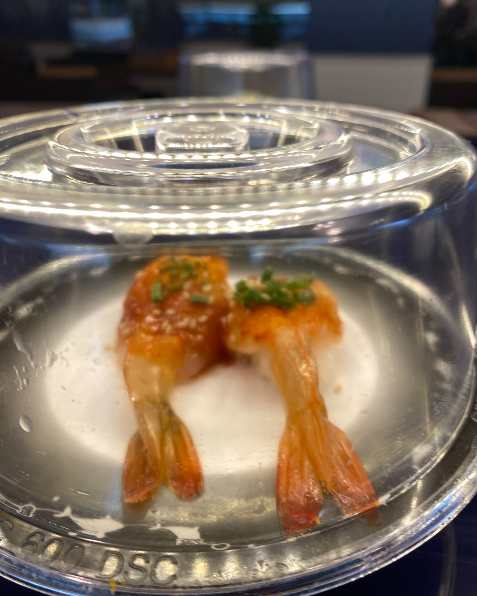 건대입구역 맛집 쿠우쿠우 블루레일 건대직영점 내돈내산 찐리뷰
