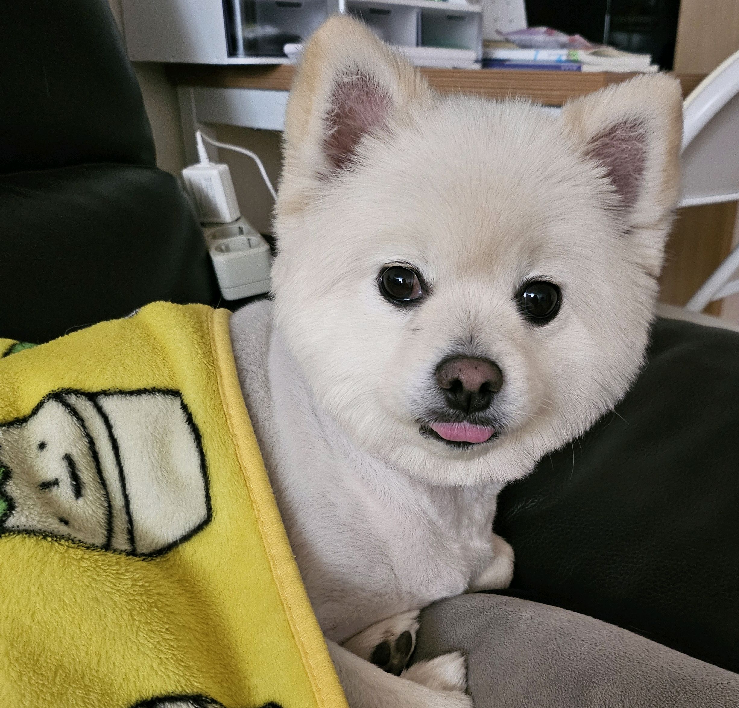 리뷰 사진 1