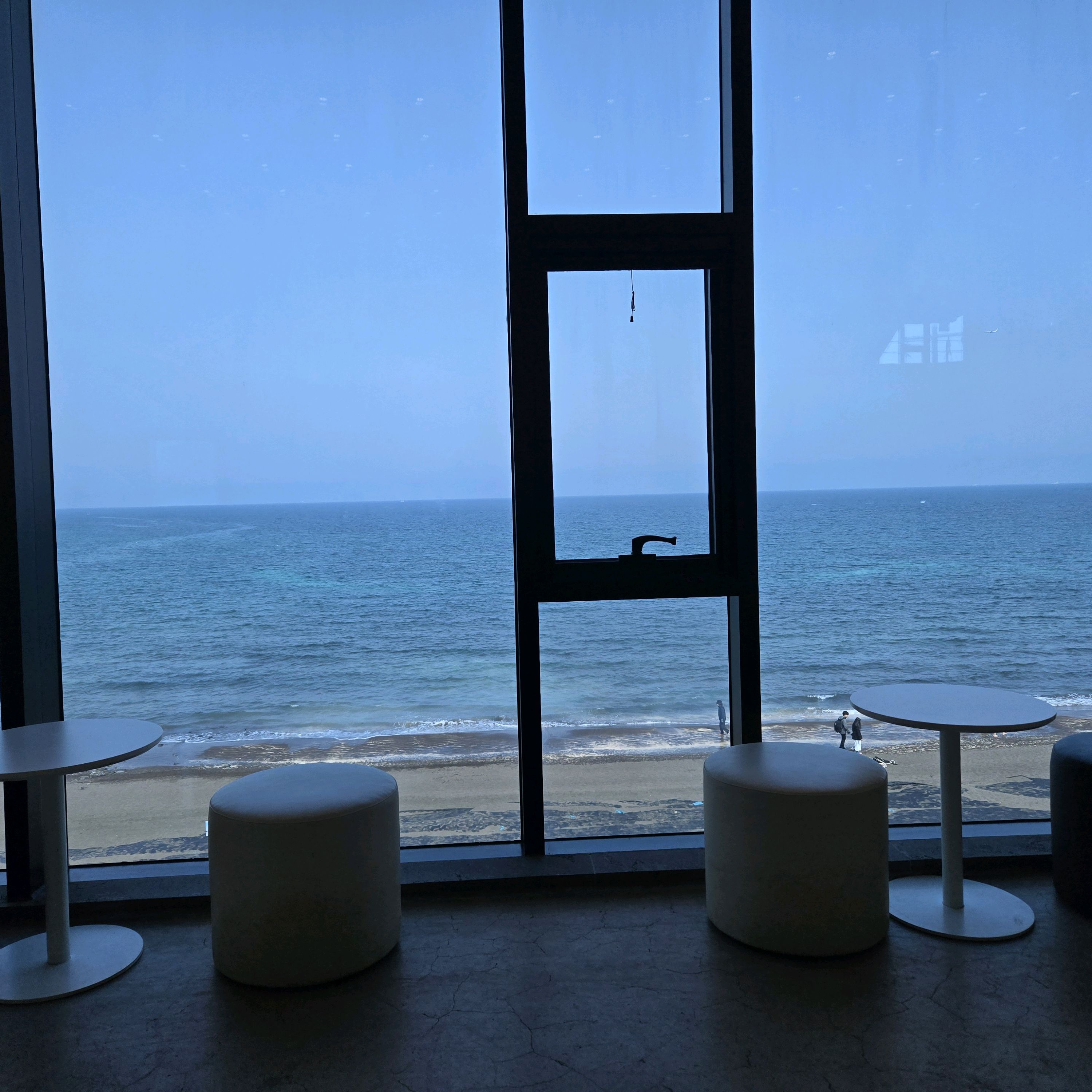 제주 맛집 에오마르 19번째 리뷰 이미지