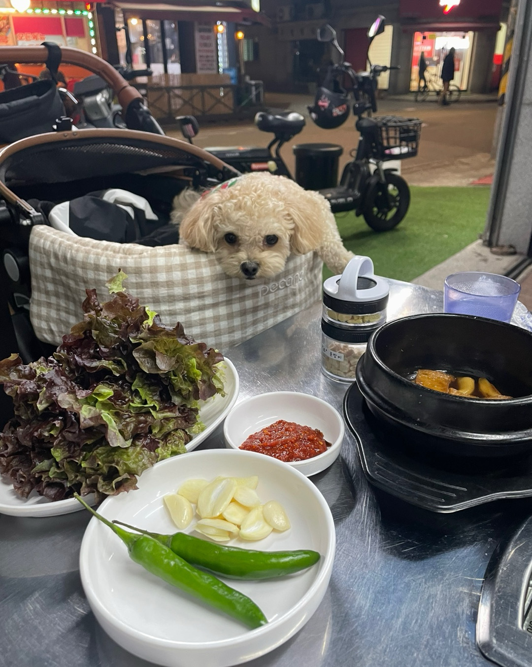 반려동물이랑 같이 마음 편하게 갈 수 있었어요~ 사장님이 너무 친절하게 응대해주시고, 볶음
