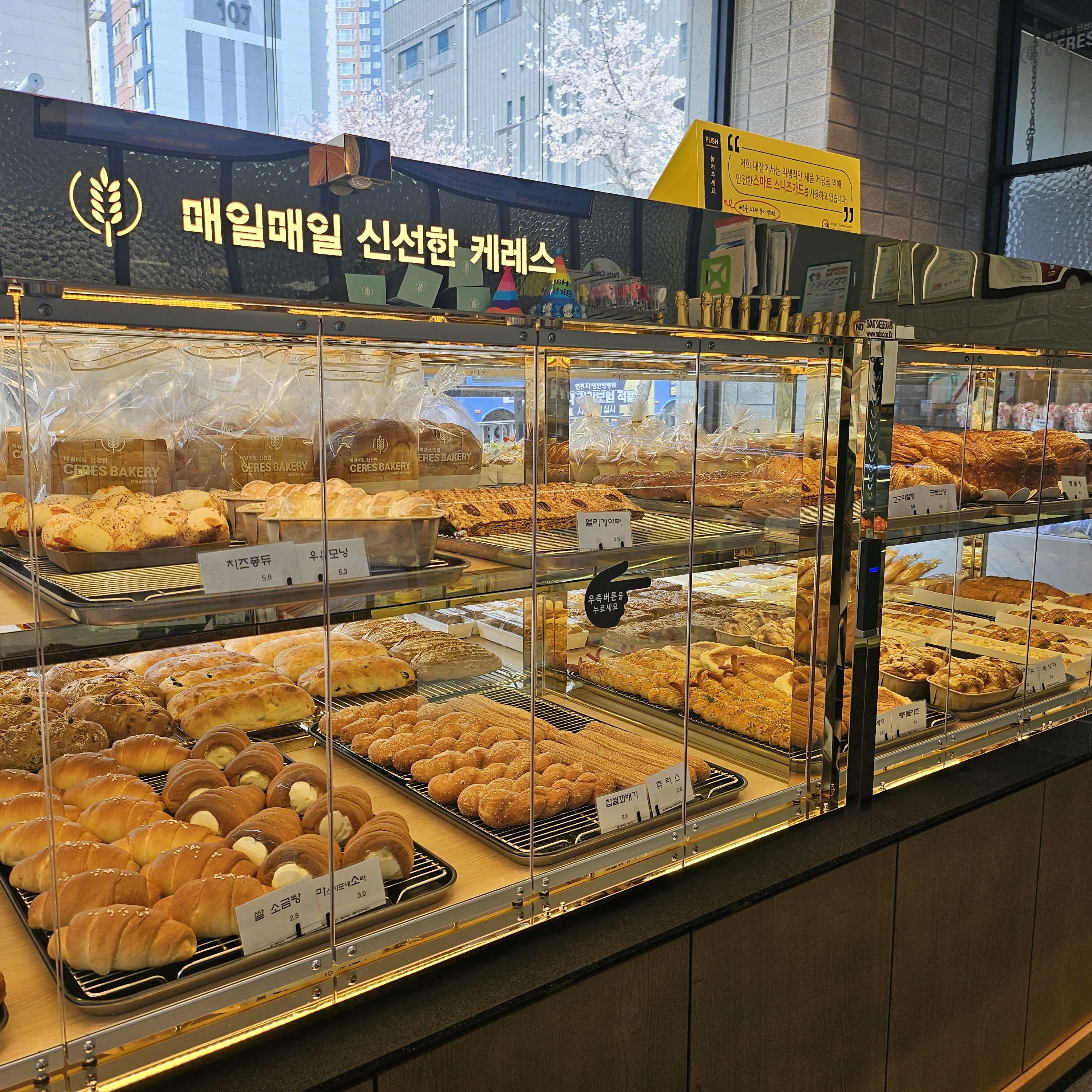 올때마다 친절하셔서 꼭 오게되요 ㅎㅎ쇼케이스도 멋지게 바꼈네요!! 빵도 늘 신선한게 눈이로