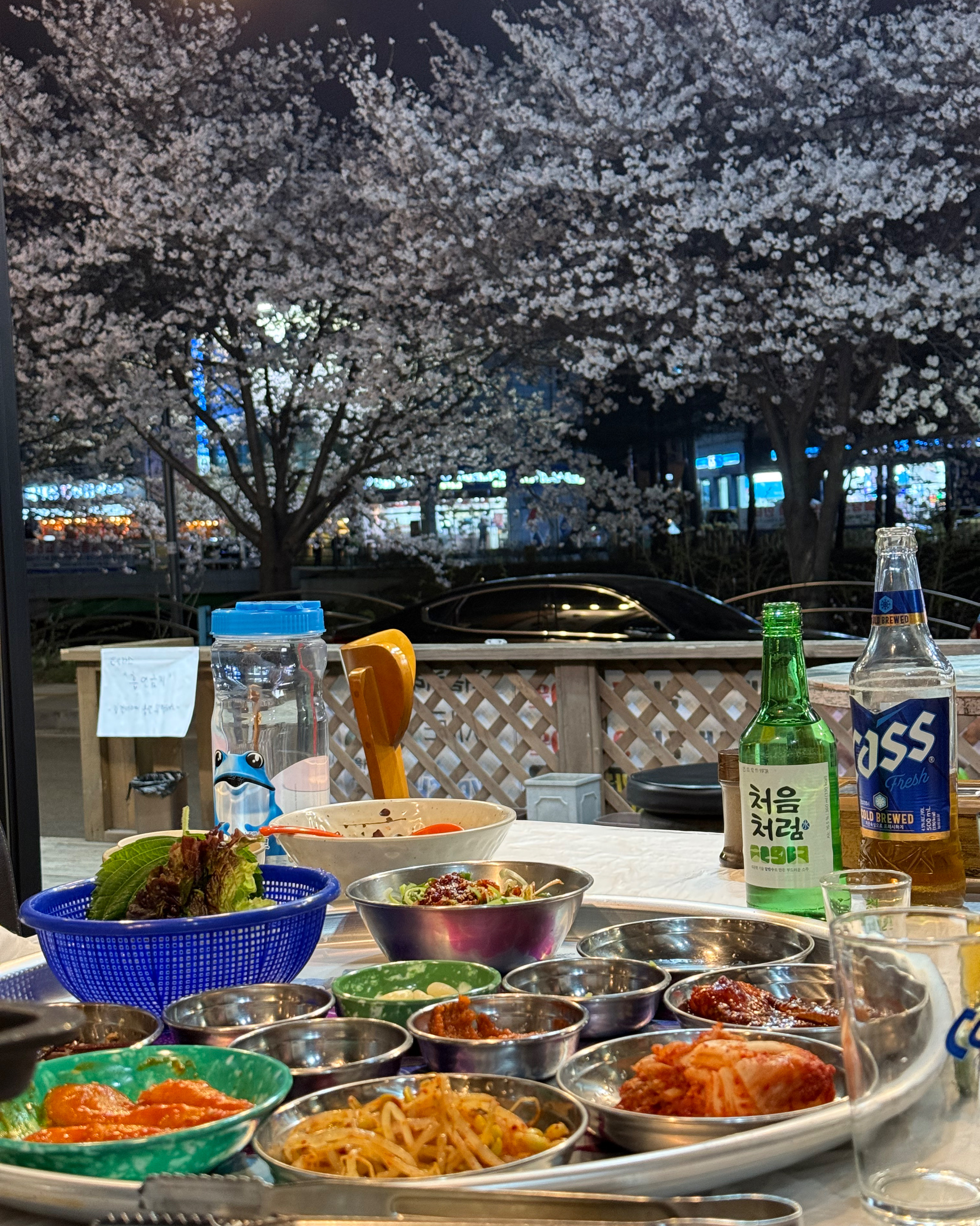설레는 봄날~ 벚꽃을 보면서 먹었던 불당냉삼. - 불당동 맛집 불당냉삼