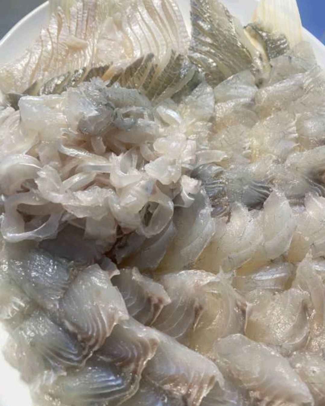 [여수 맛집 부산 송도회센타] 직접 가본 로컬 리뷰