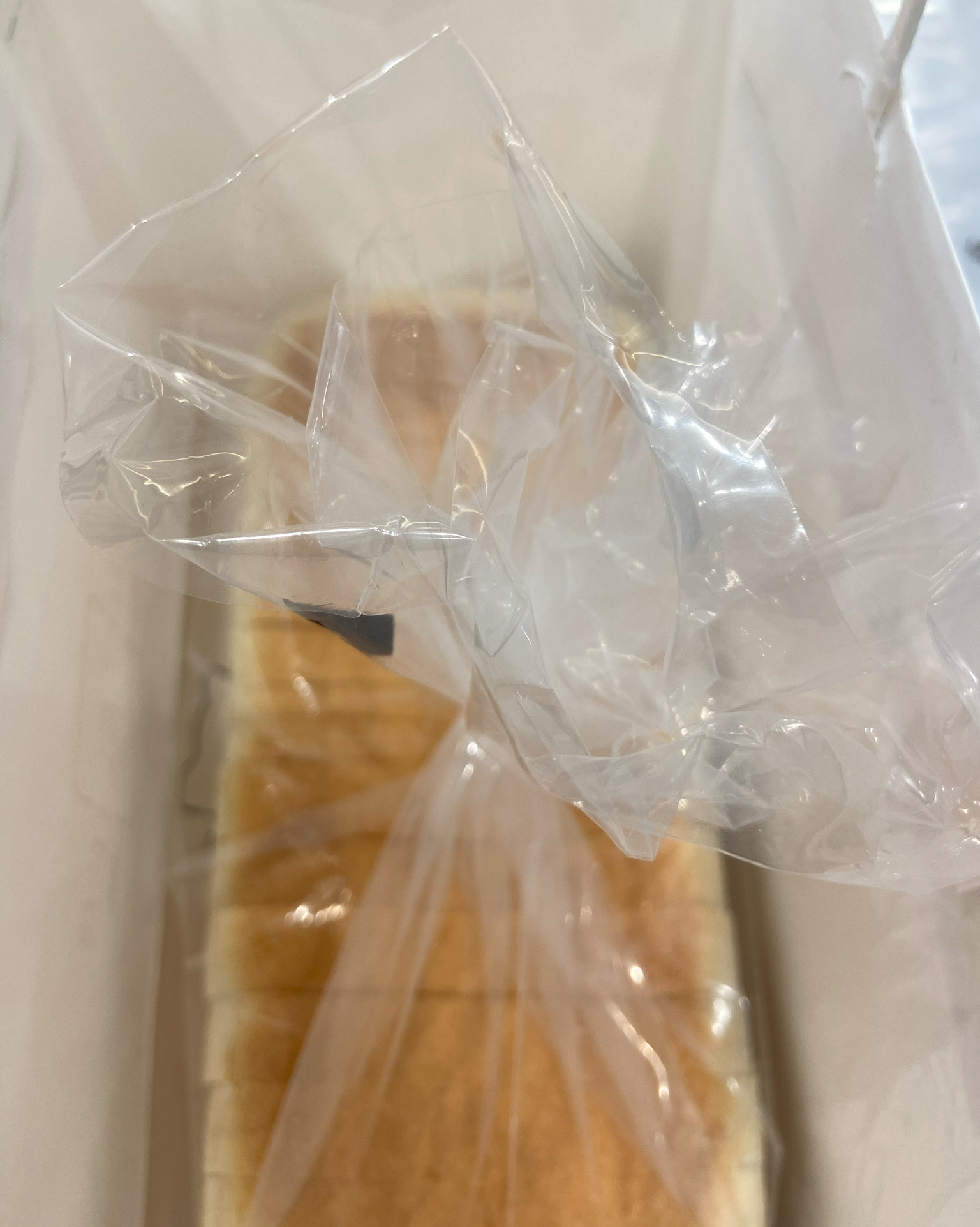 너무 맛있는 식빵!!! - 대구 침산동 맛집 화이트리에 침산점