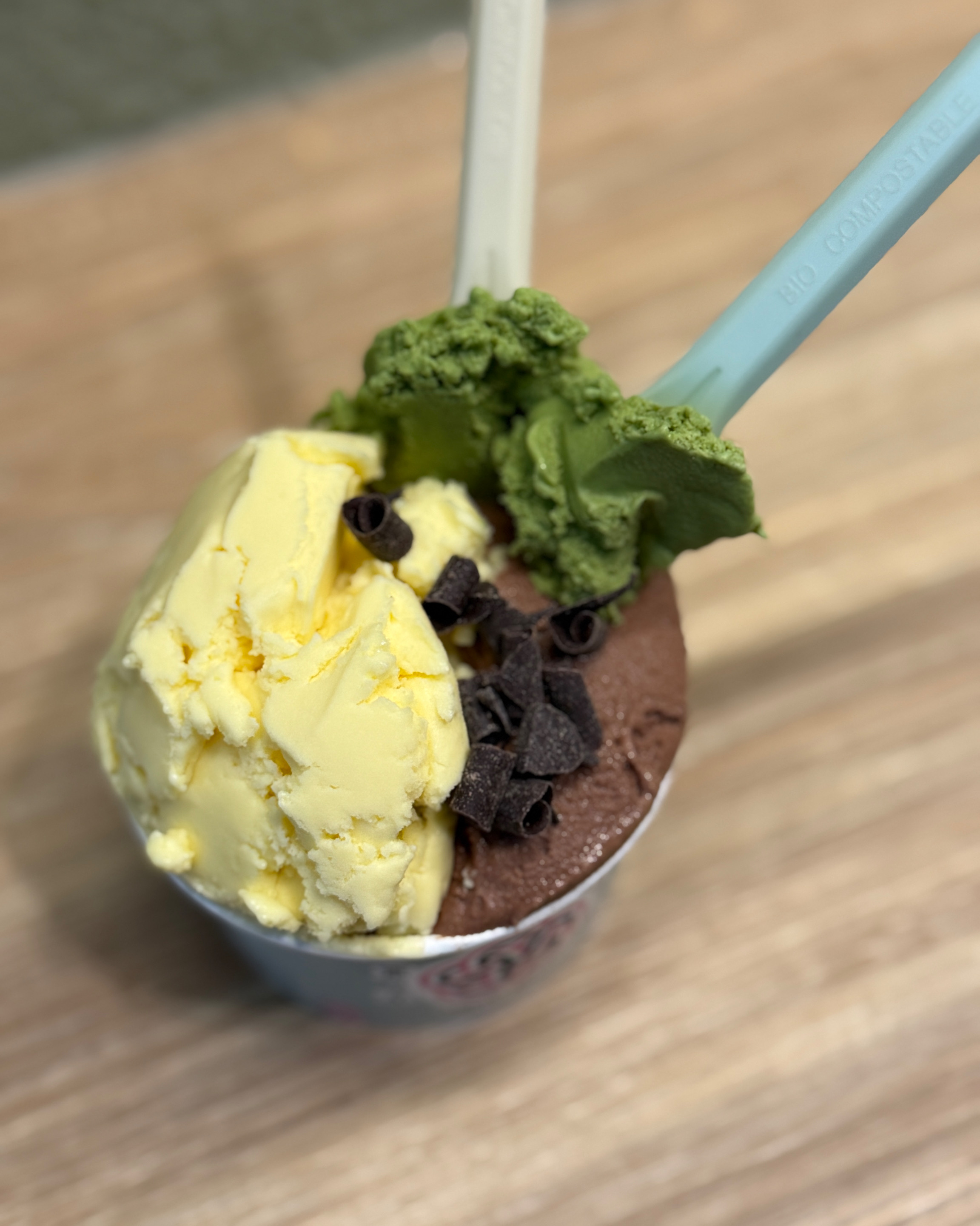 정자역 맛집 도쿄젤라또 내돈내산 방문리뷰